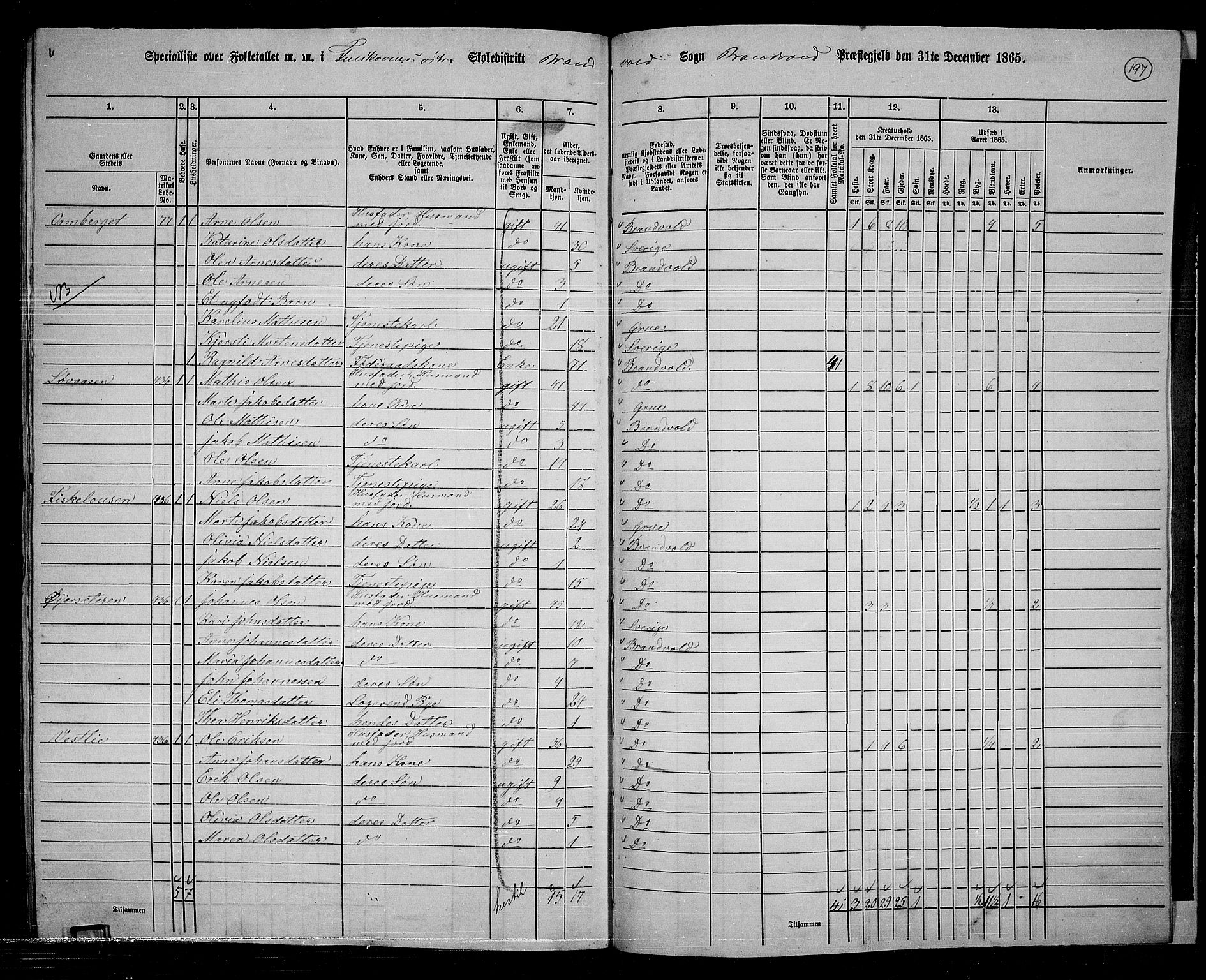 RA, 1865 census for Brandval, 1865, p. 165