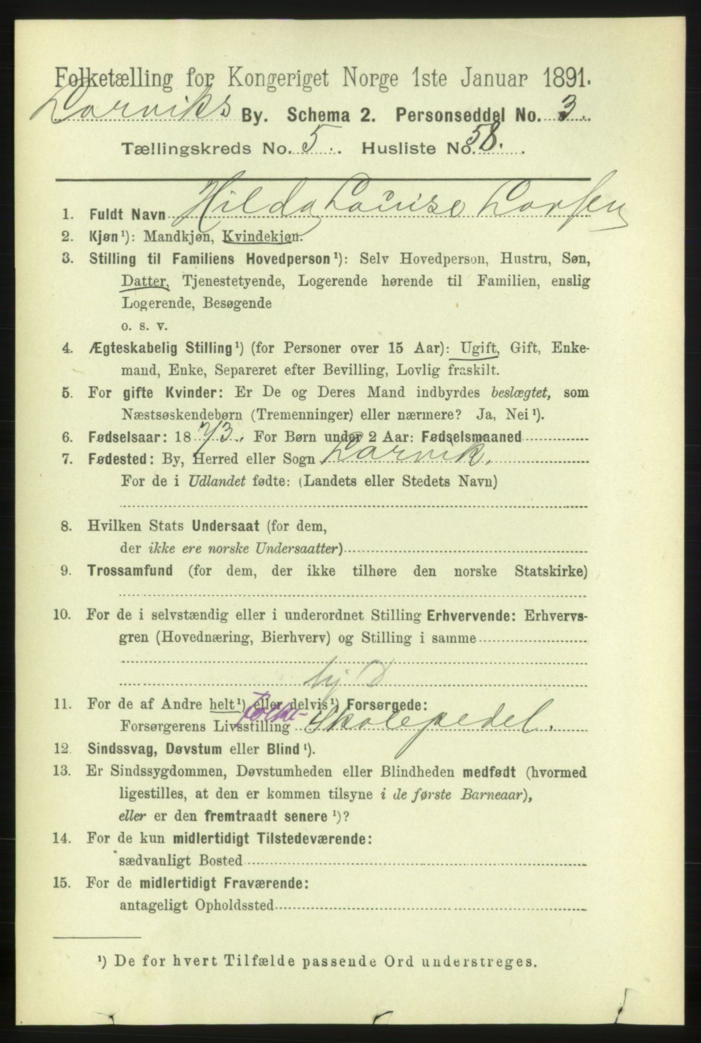 RA, 1891 census for 0707 Larvik, 1891, p. 6572