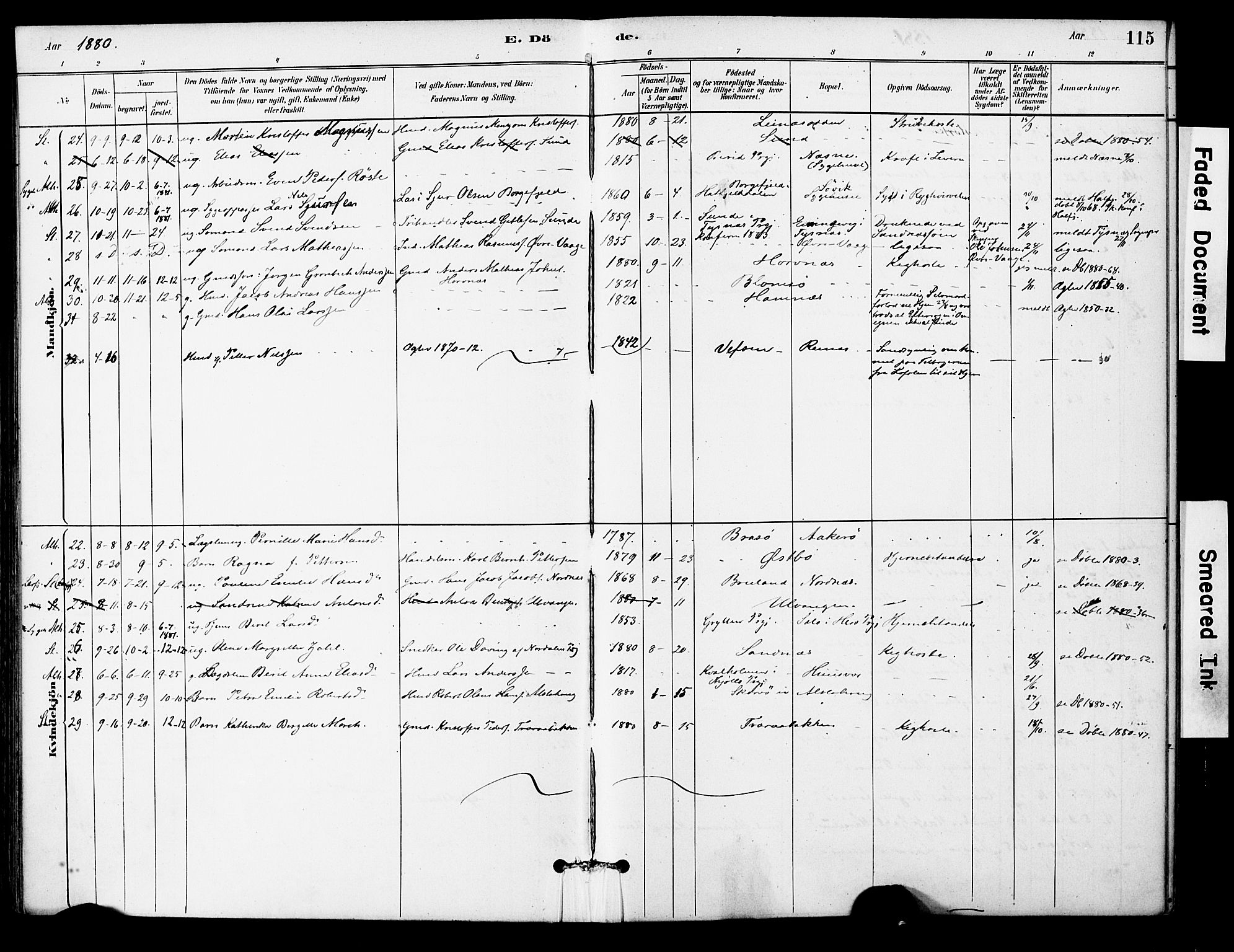 Ministerialprotokoller, klokkerbøker og fødselsregistre - Nordland, AV/SAT-A-1459/830/L0450: Parish register (official) no. 830A14, 1879-1896, p. 115