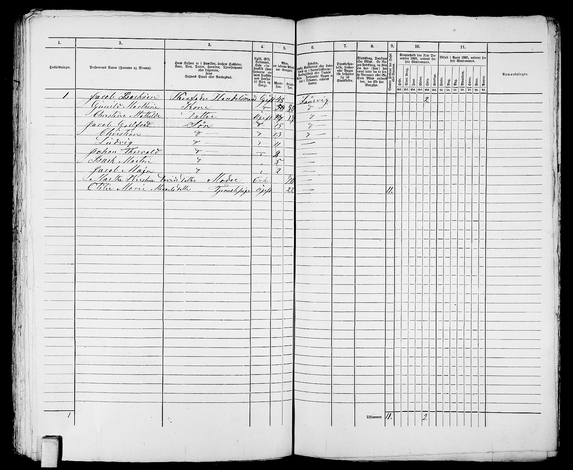 RA, 1865 census for Larvik, 1865, p. 1022