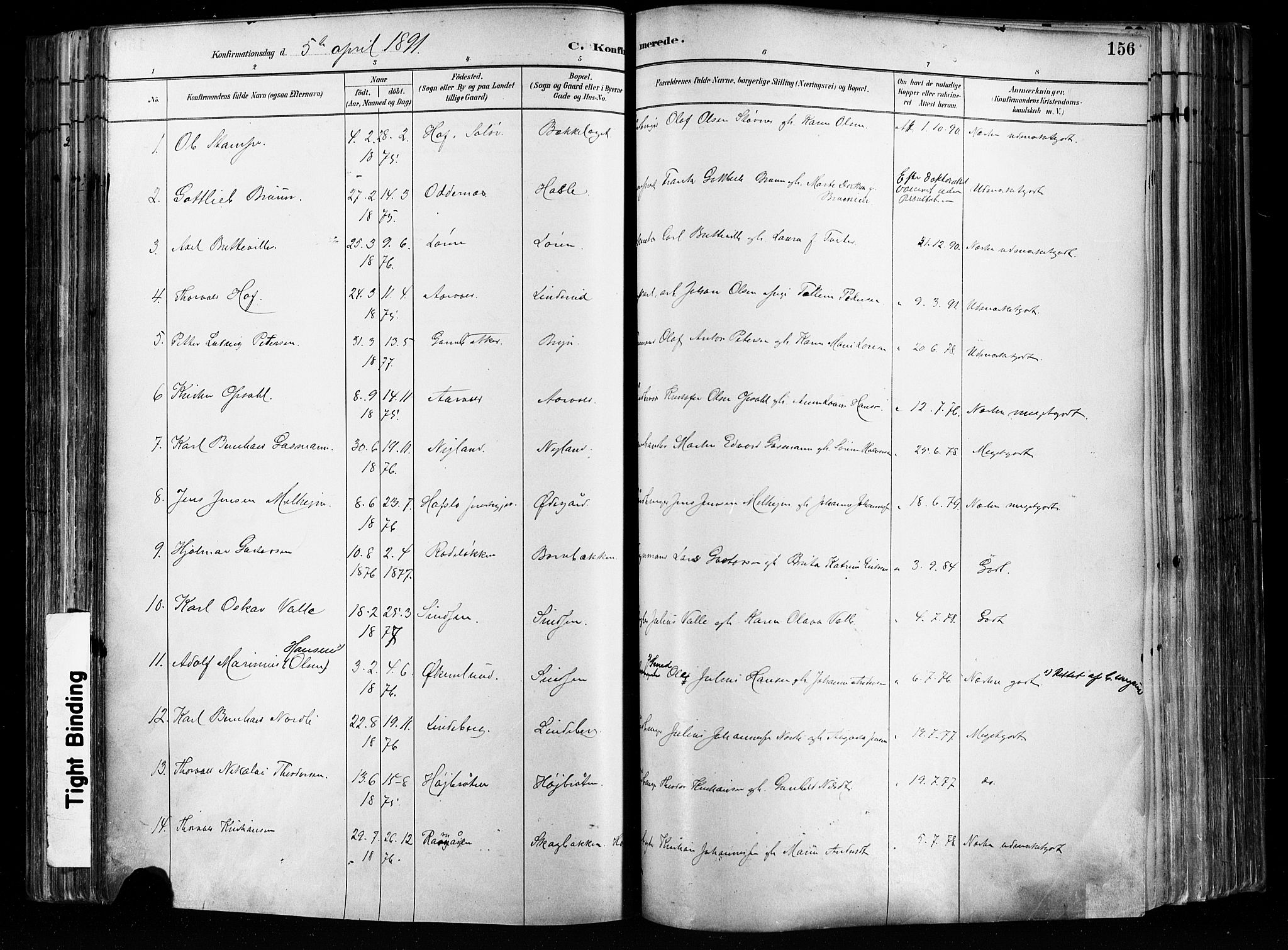 Østre Aker prestekontor Kirkebøker, SAO/A-10840/F/Fa/L0008: Parish register (official) no. I 8, 1883-1894, p. 156