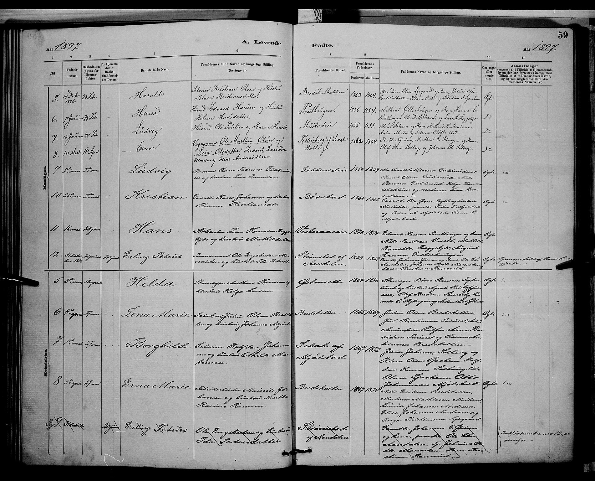 Vardal prestekontor, AV/SAH-PREST-100/H/Ha/Hab/L0008: Parish register (copy) no. 8, 1881-1898, p. 59