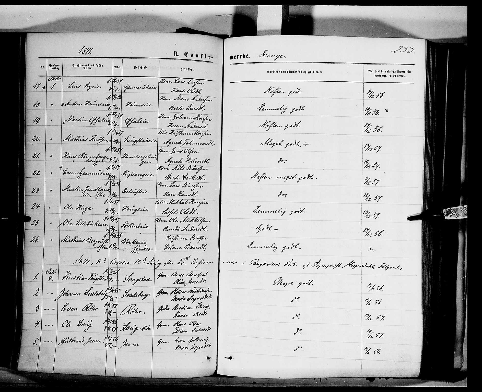 Ringsaker prestekontor, AV/SAH-PREST-014/K/Ka/L0011: Parish register (official) no. 11, 1870-1878, p. 233