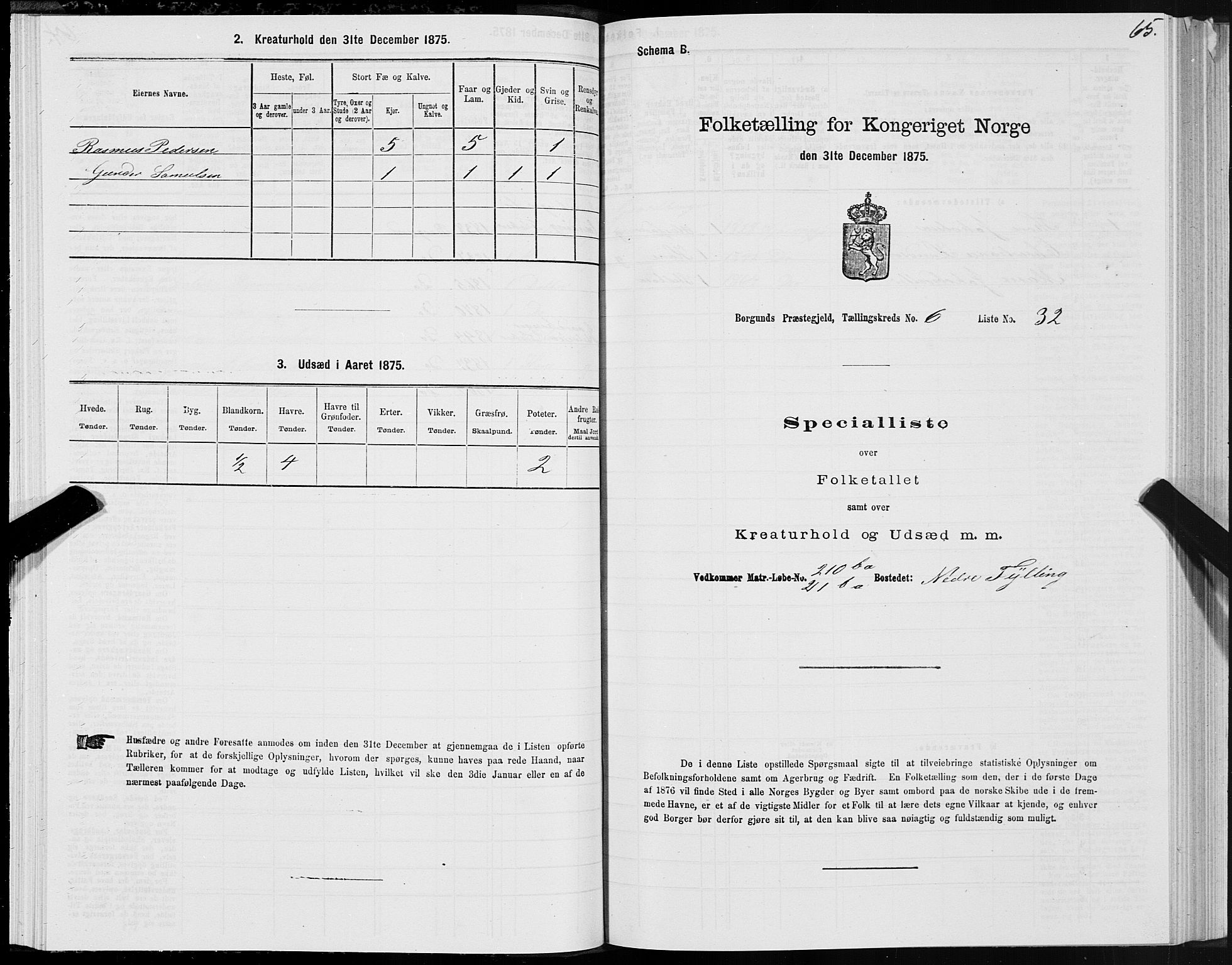 SAT, 1875 census for 1531P Borgund, 1875, p. 4065