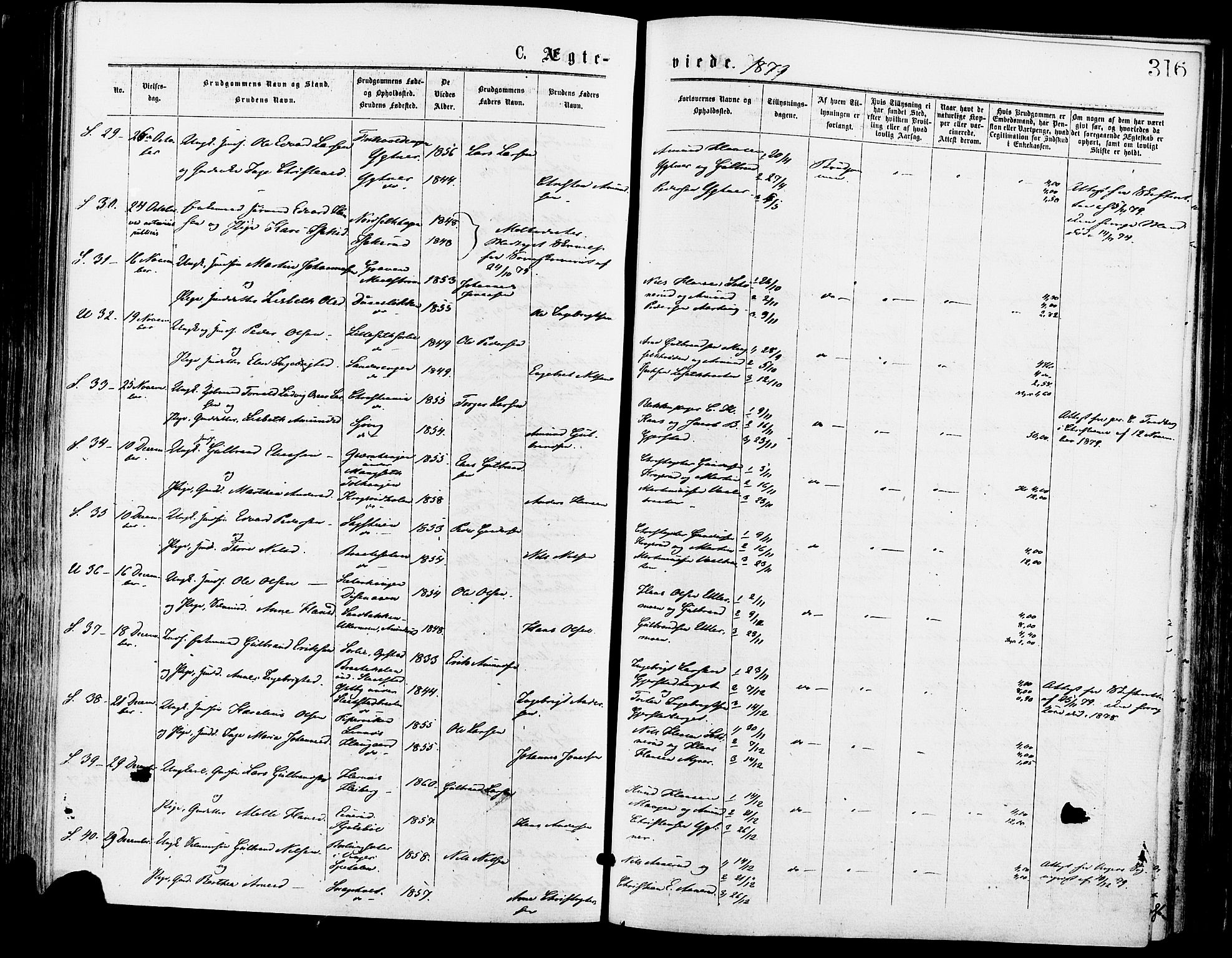 Sør-Odal prestekontor, AV/SAH-PREST-030/H/Ha/Haa/L0005: Parish register (official) no. 5, 1876-1885, p. 316