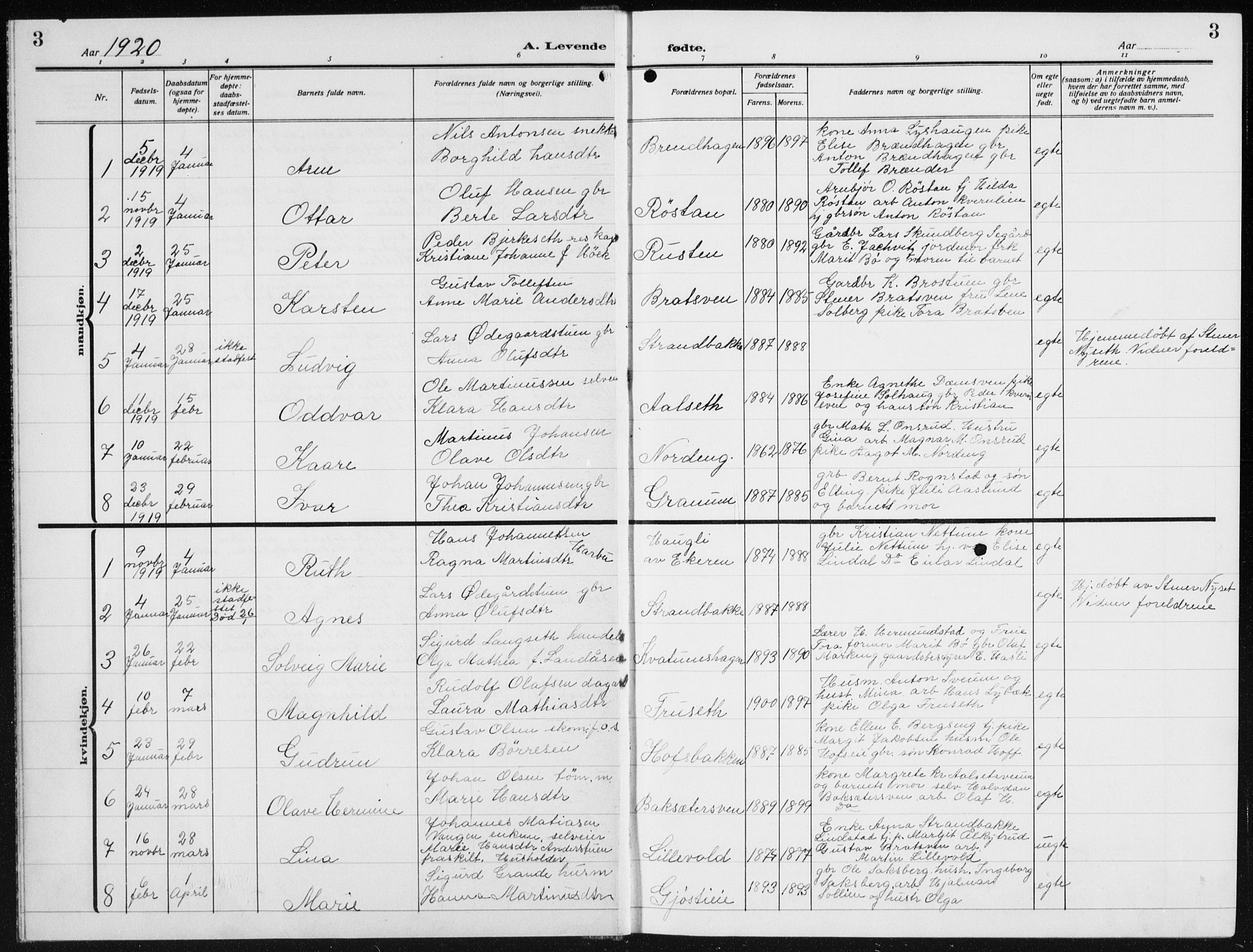 Biri prestekontor, AV/SAH-PREST-096/H/Ha/Hab/L0007: Parish register (copy) no. 7, 1919-1941, p. 3