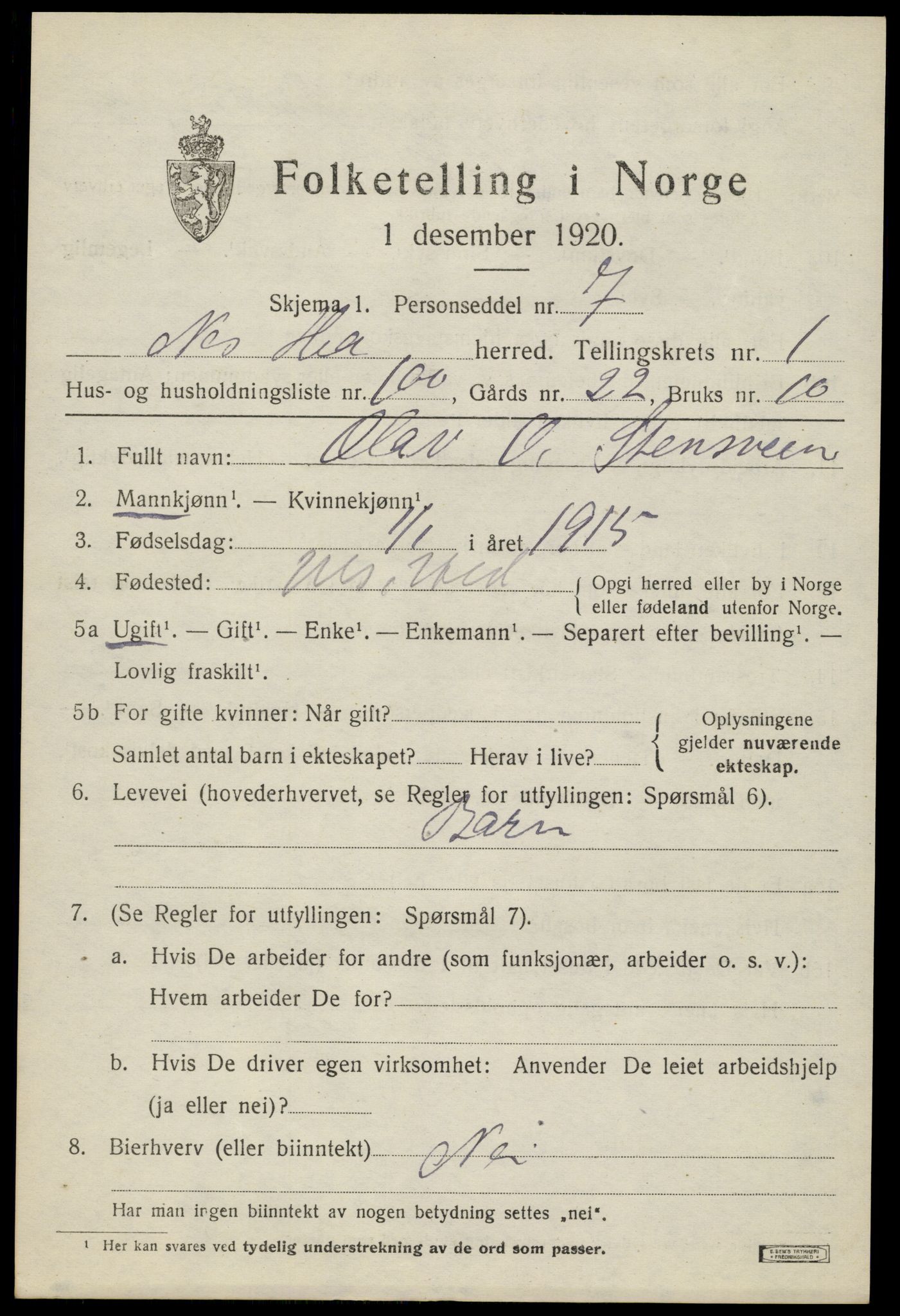 SAH, 1920 census for Nes (Hedmark), 1920, p. 2670