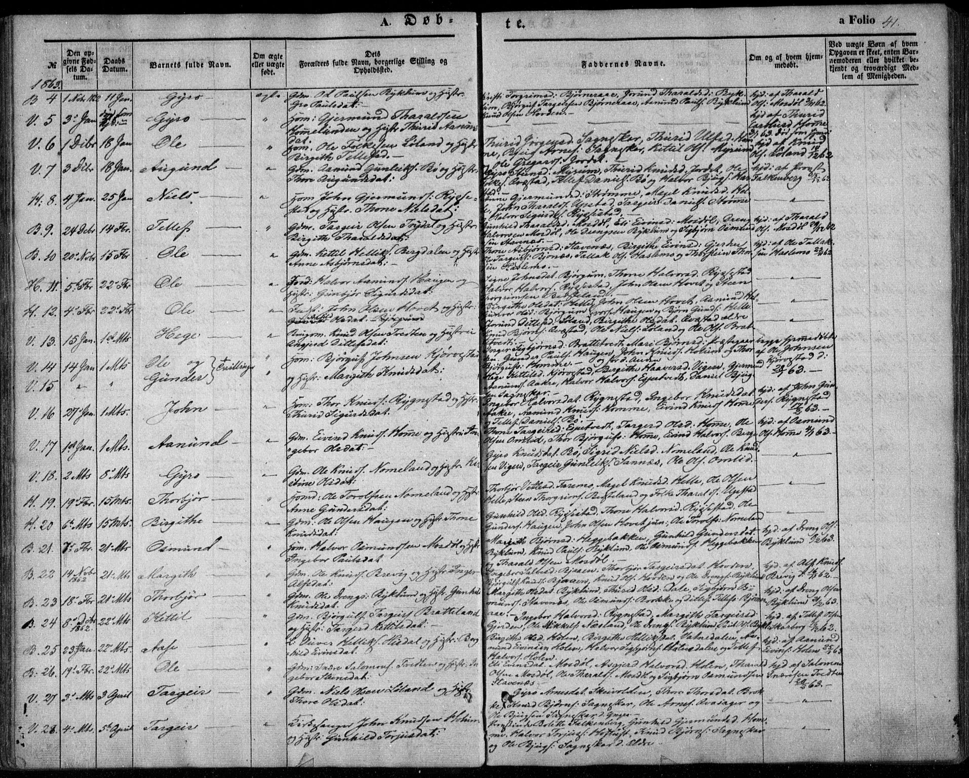 Valle sokneprestkontor, SAK/1111-0044/F/Fa/Fac/L0007: Parish register (official) no. A 7, 1854-1868, p. 41