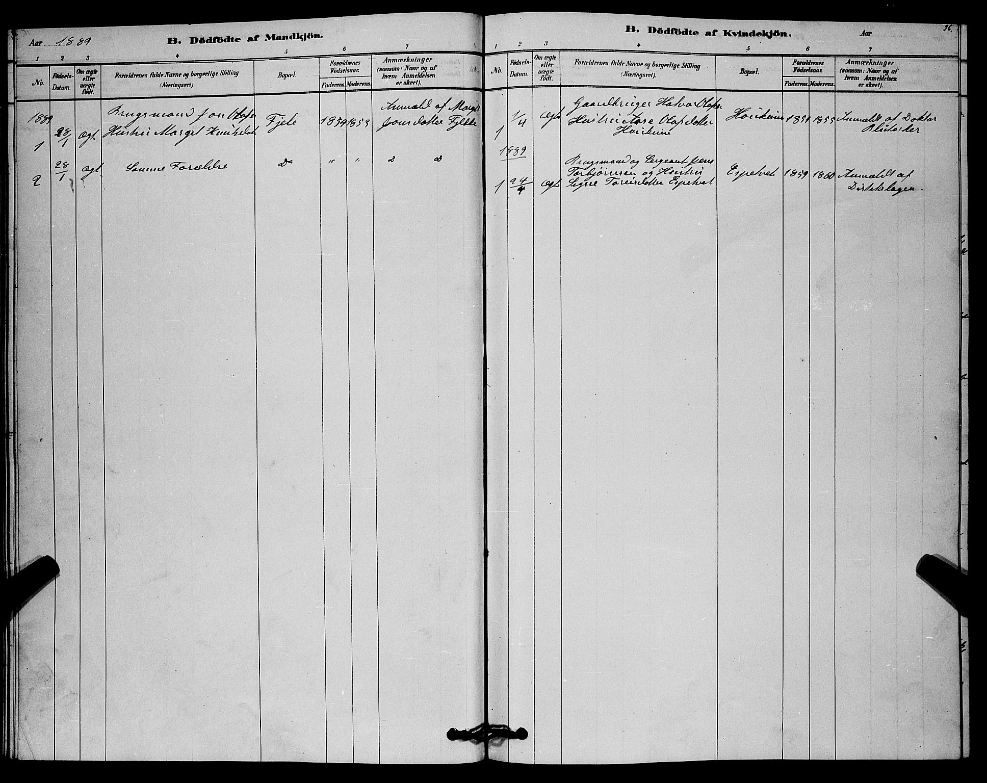 Lårdal kirkebøker, SAKO/A-284/G/Gc/L0003: Parish register (copy) no. III 3, 1878-1890, p. 36