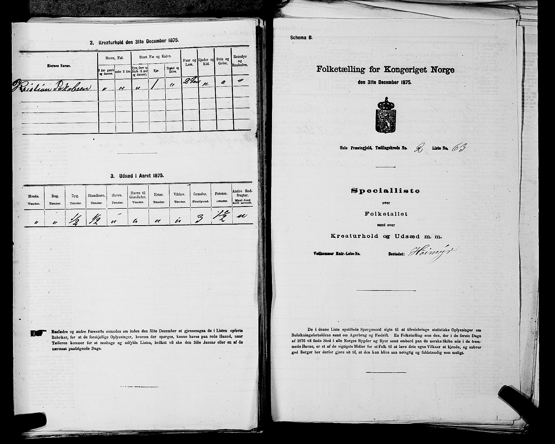 SAKO, 1875 census for 0612P Hole, 1875, p. 447