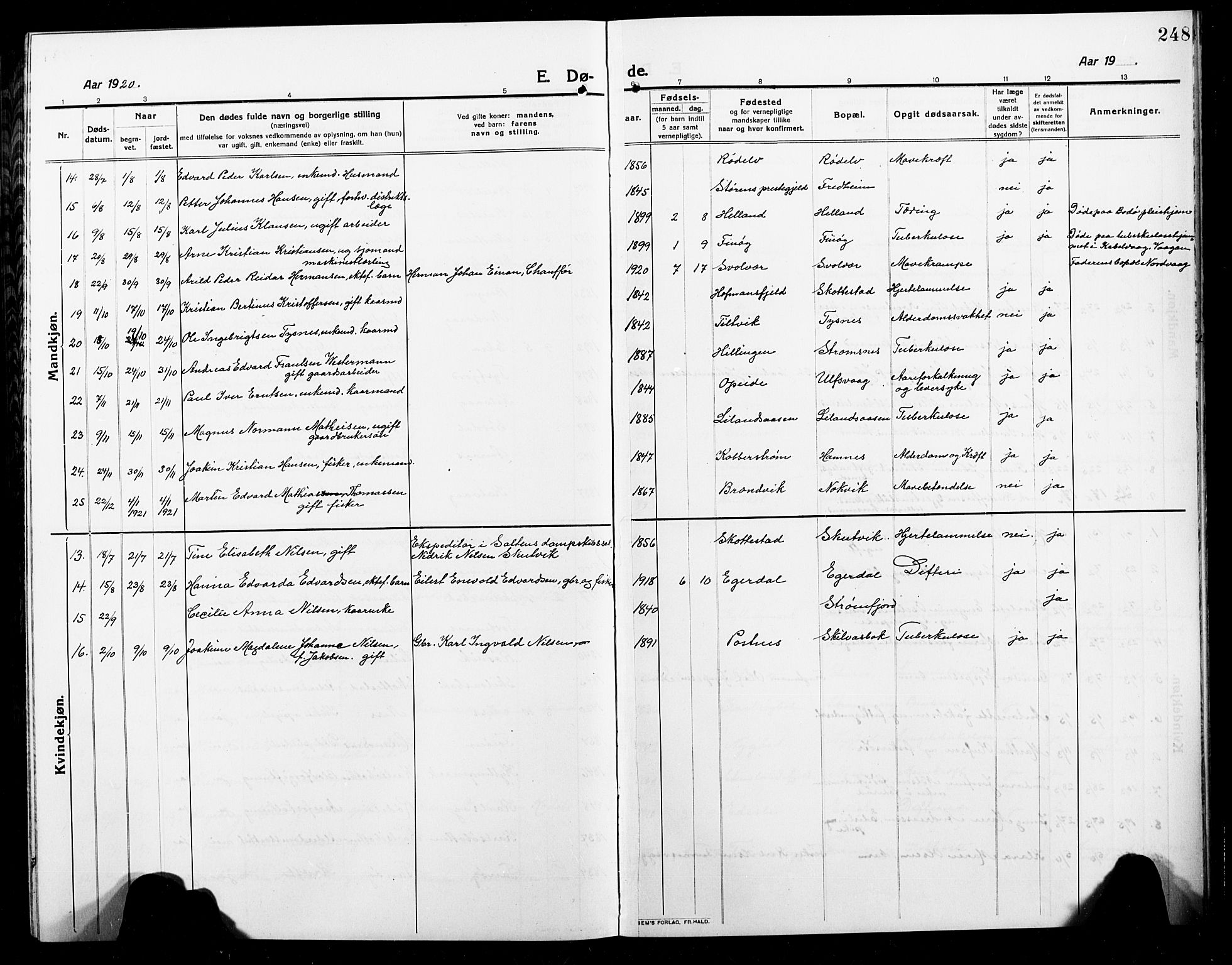 Ministerialprotokoller, klokkerbøker og fødselsregistre - Nordland, AV/SAT-A-1459/859/L0861: Parish register (copy) no. 859C07, 1910-1925, p. 248