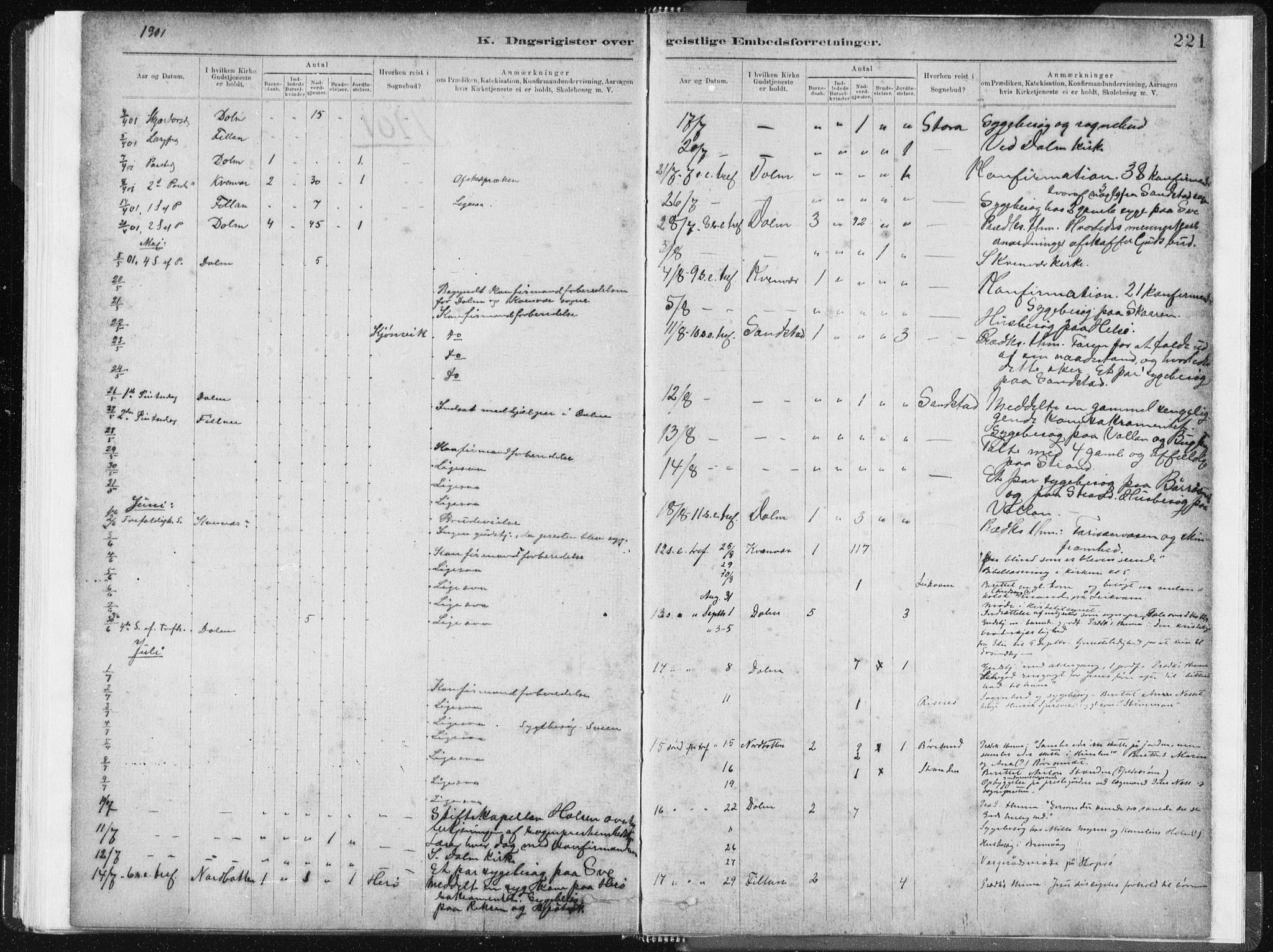 Ministerialprotokoller, klokkerbøker og fødselsregistre - Sør-Trøndelag, AV/SAT-A-1456/634/L0533: Parish register (official) no. 634A09, 1882-1901, p. 221