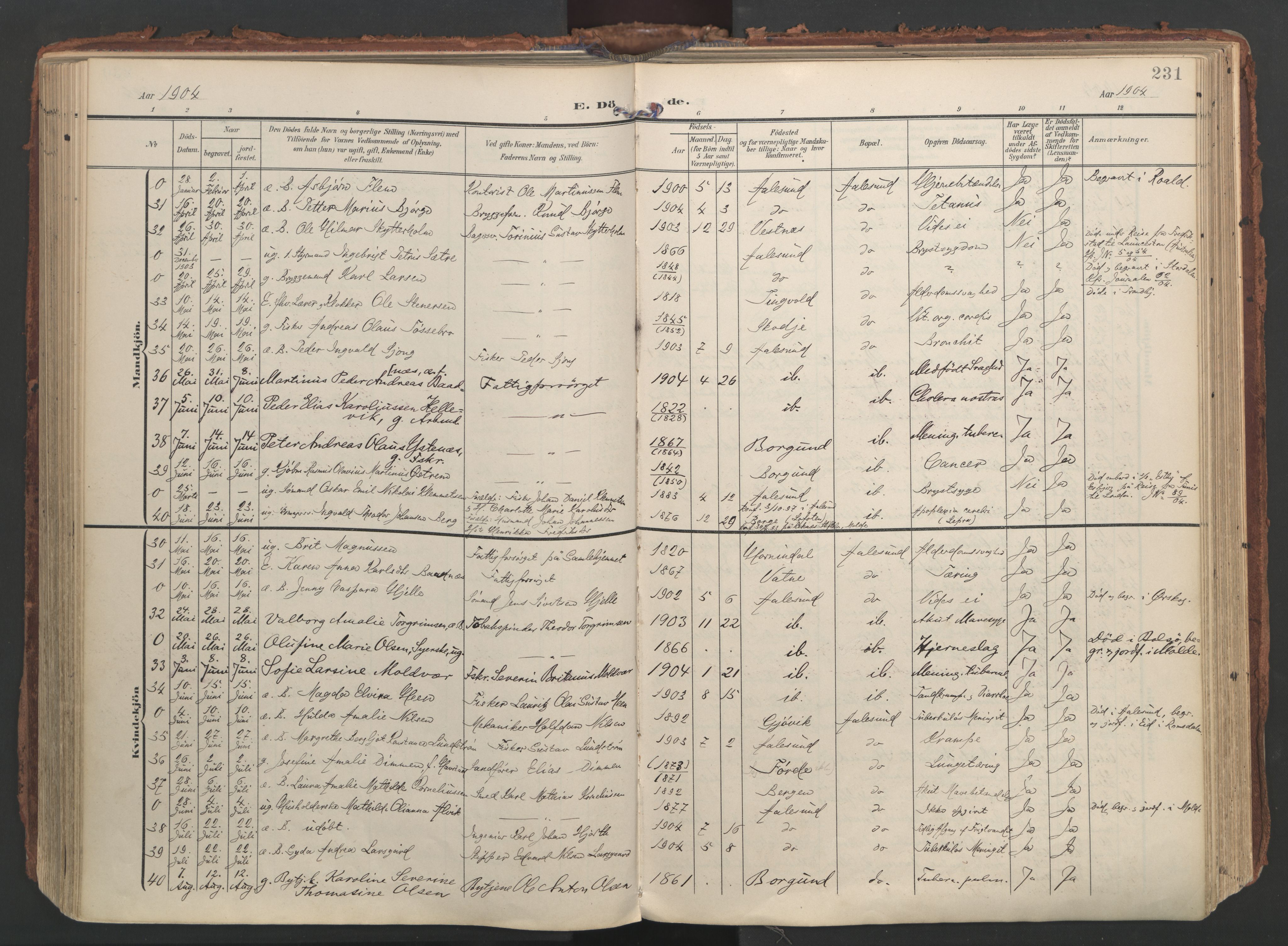 Ministerialprotokoller, klokkerbøker og fødselsregistre - Møre og Romsdal, AV/SAT-A-1454/529/L0459: Parish register (official) no. 529A09, 1904-1917, p. 231