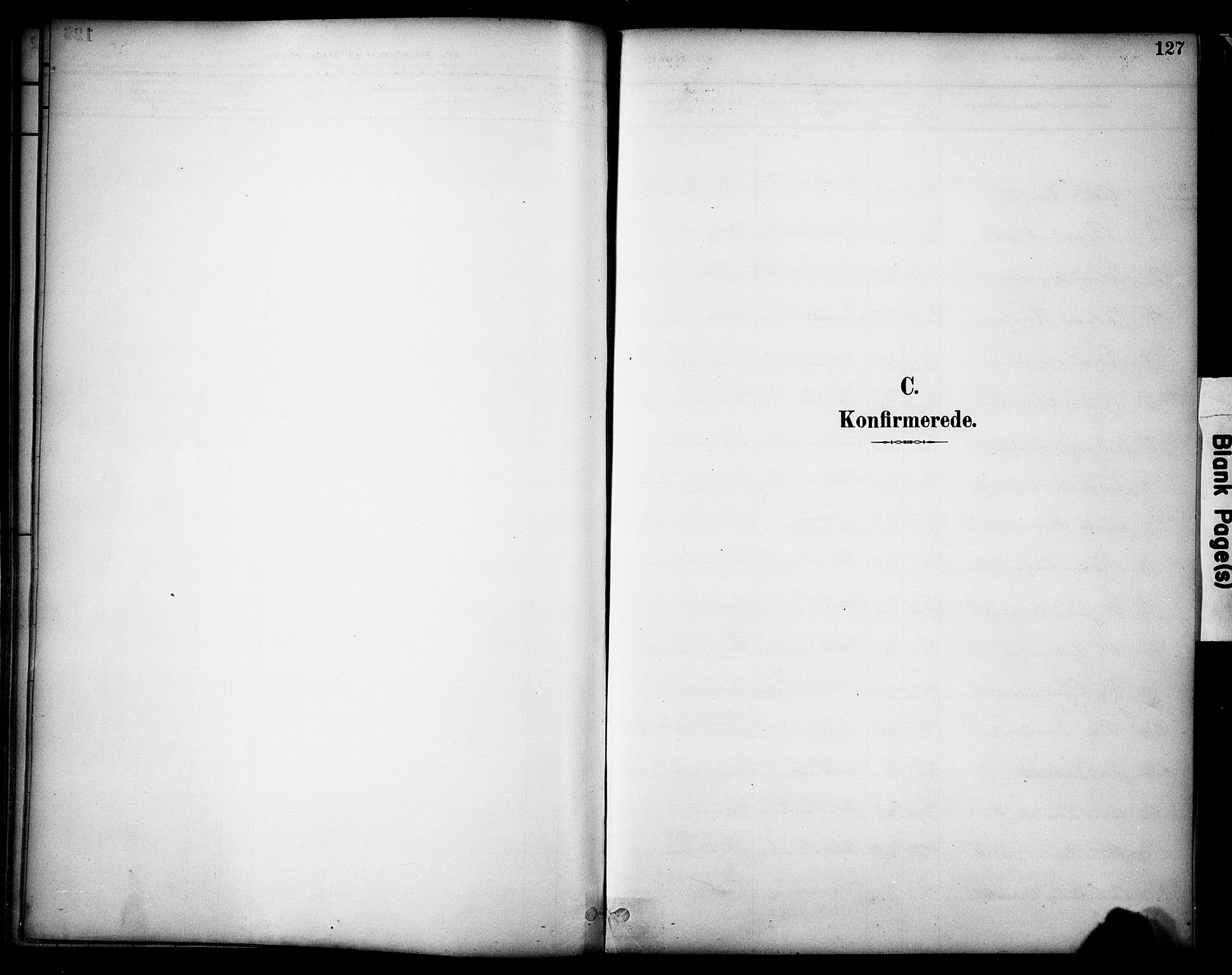 Sør-Odal prestekontor, AV/SAH-PREST-030/H/Ha/Haa/L0008: Parish register (official) no. 8, 1886-1922, p. 127