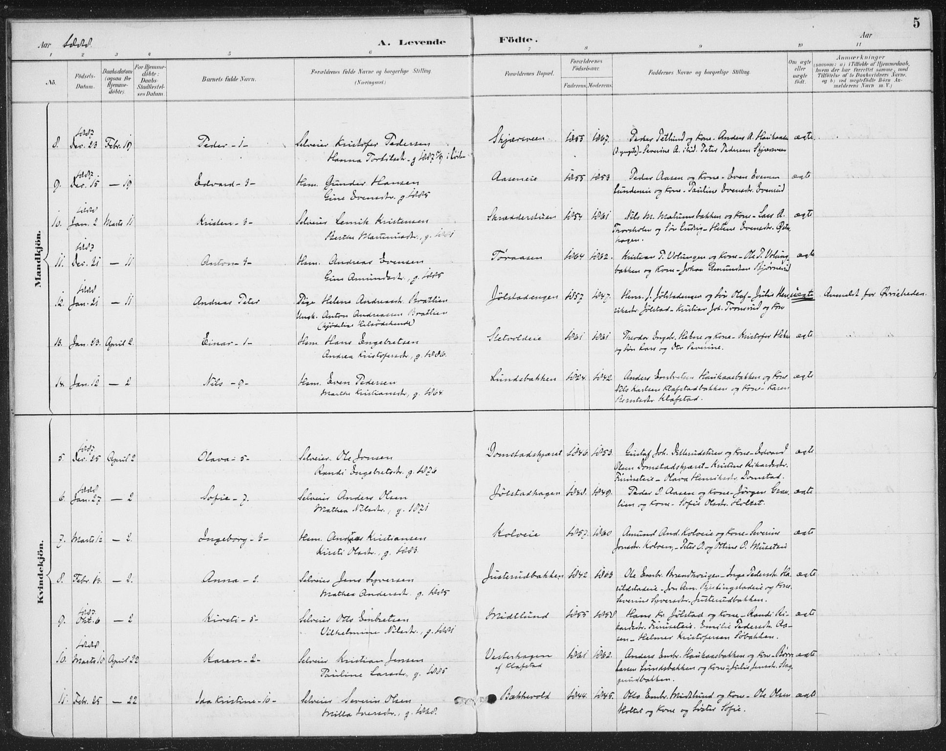 Romedal prestekontor, SAH/PREST-004/K/L0008: Parish register (official) no. 8, 1887-1905, p. 5