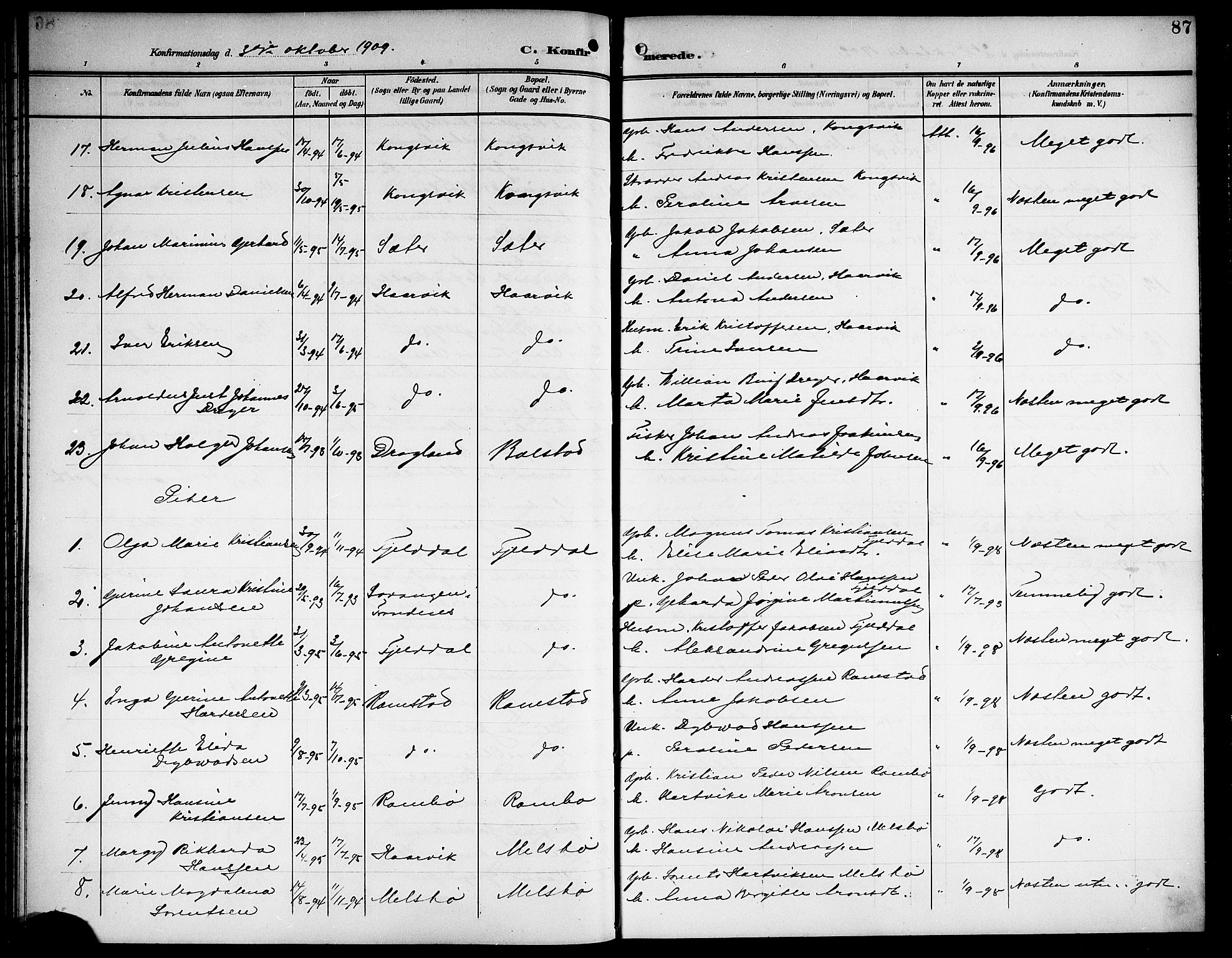 Ministerialprotokoller, klokkerbøker og fødselsregistre - Nordland, AV/SAT-A-1459/865/L0932: Parish register (copy) no. 865C04, 1901-1917, p. 87