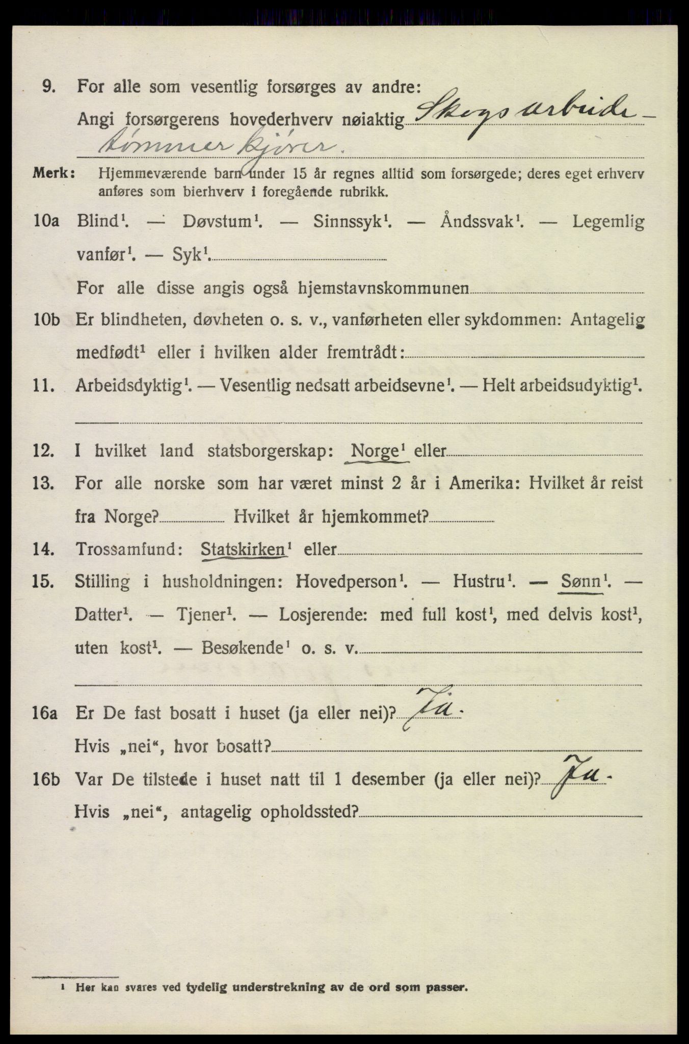 SAH, 1920 census for Trysil, 1920, p. 8682