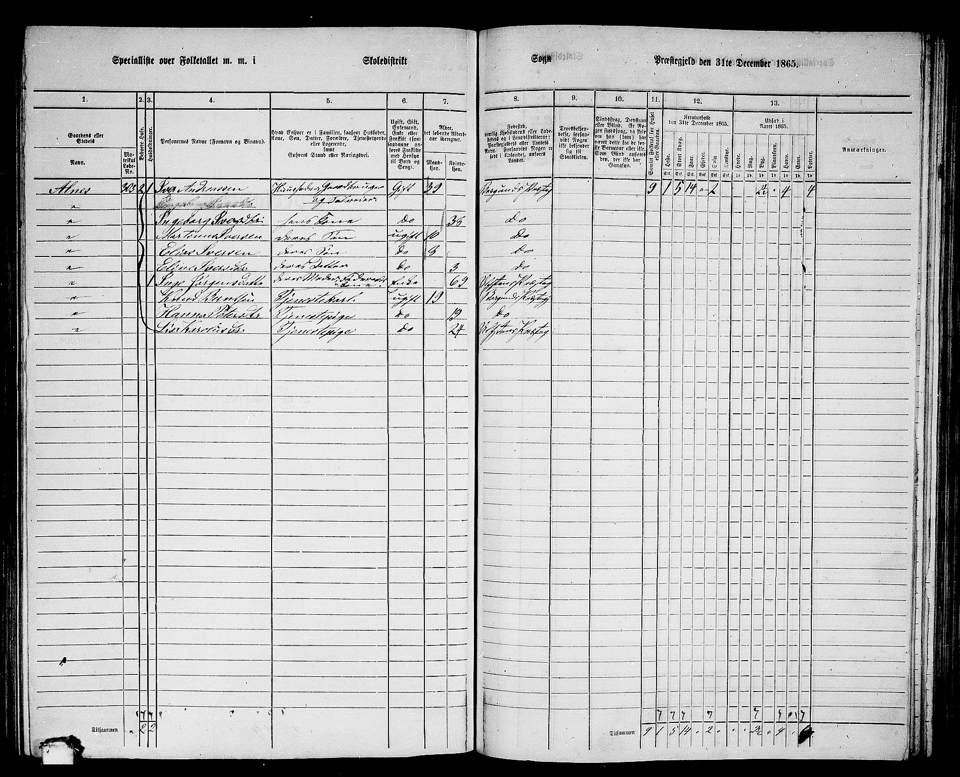 RA, 1865 census for Borgund, 1865, p. 160