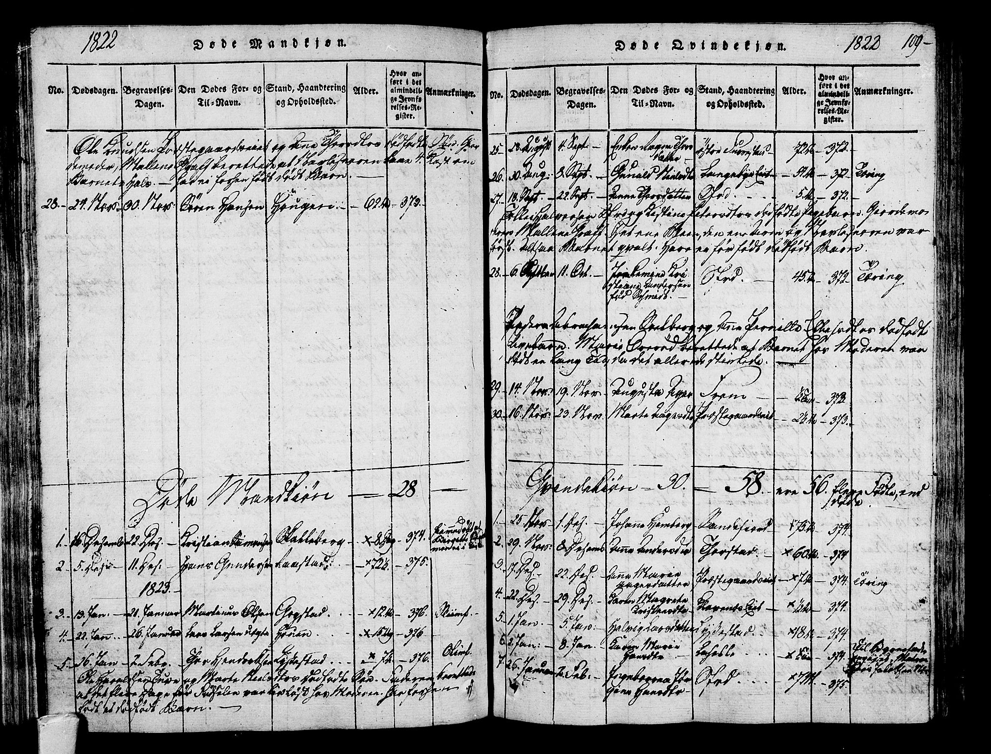 Sandar kirkebøker, SAKO/A-243/F/Fa/L0004: Parish register (official) no. 4, 1814-1832, p. 109
