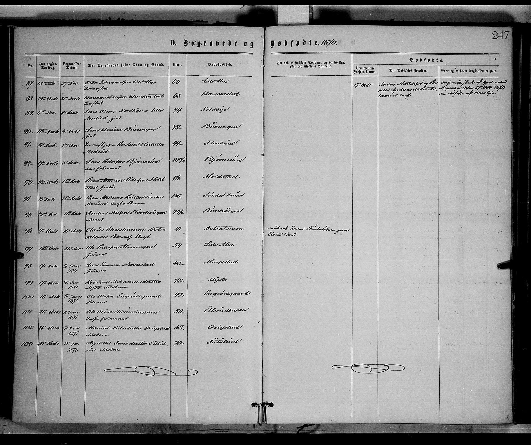 Vestre Toten prestekontor, SAH/PREST-108/H/Ha/Haa/L0008: Parish register (official) no. 8, 1870-1877, p. 247