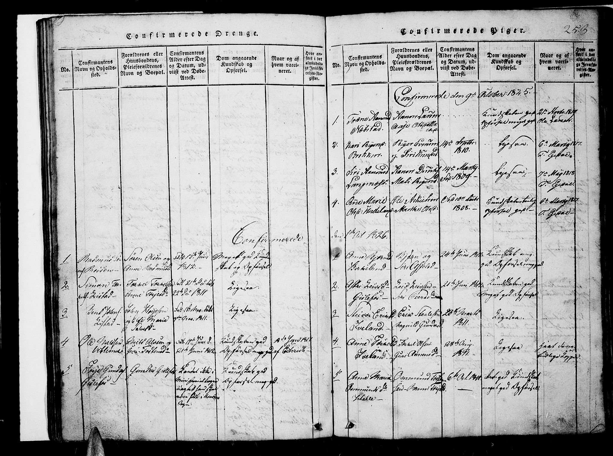 Nord-Audnedal sokneprestkontor, AV/SAK-1111-0032/F/Fb/Fba/L0001: Parish register (copy) no. B 1, 1815-1856, p. 253