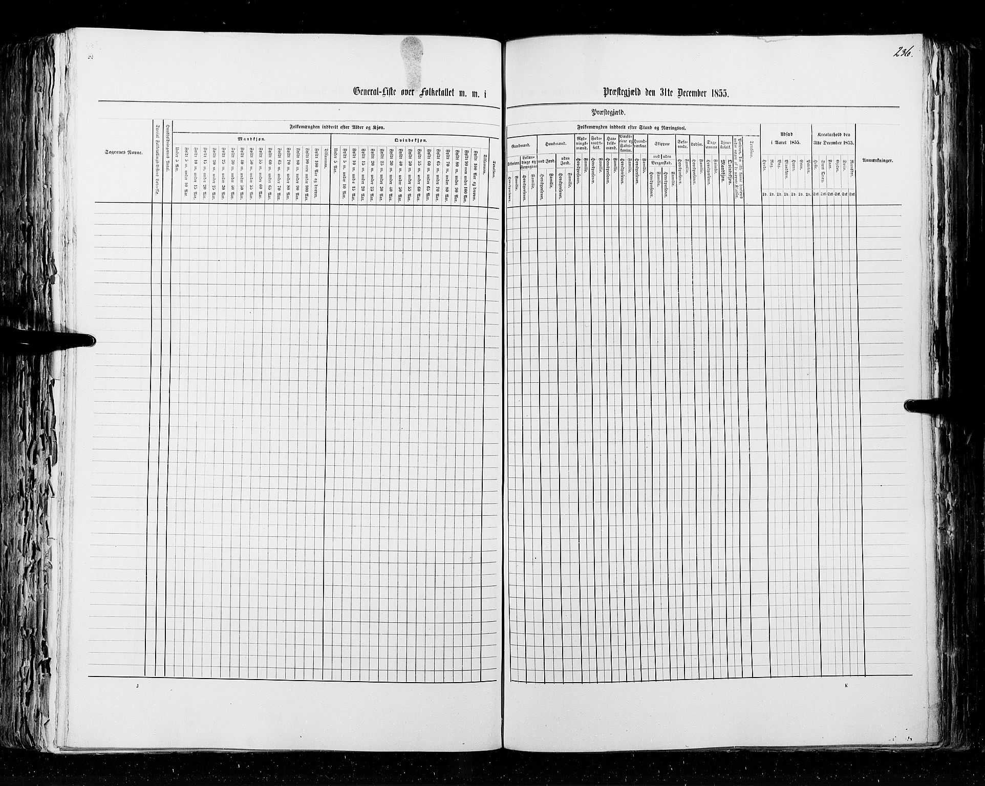 RA, Census 1855, vol. 2: Kristians amt, Buskerud amt og Jarlsberg og Larvik amt, 1855, p. 236