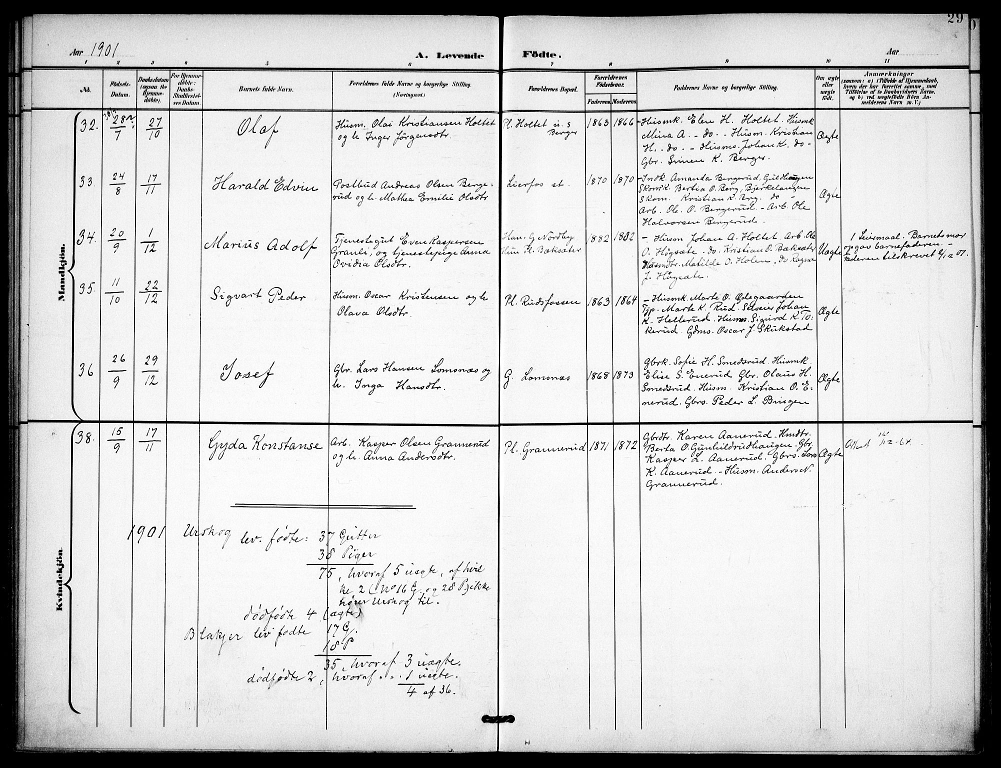 Aurskog prestekontor Kirkebøker, AV/SAO-A-10304a/F/Fa/L0010: Parish register (official) no. I 10, 1898-1905, p. 29