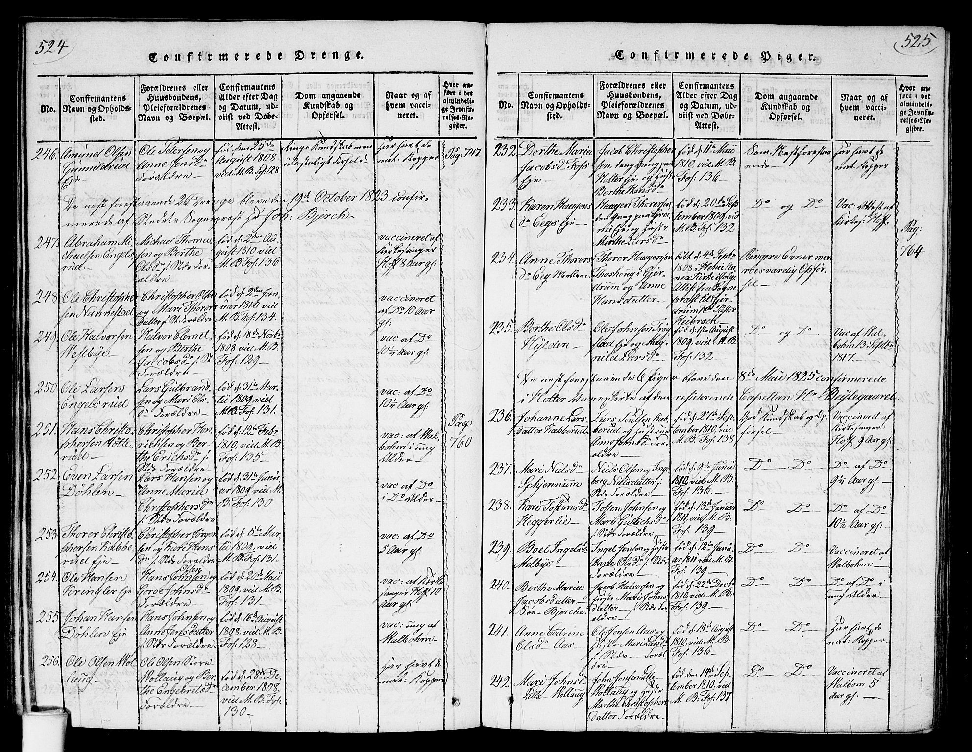 Nannestad prestekontor Kirkebøker, AV/SAO-A-10414a/G/Ga/L0001: Parish register (copy) no. I 1, 1815-1839, p. 524-525