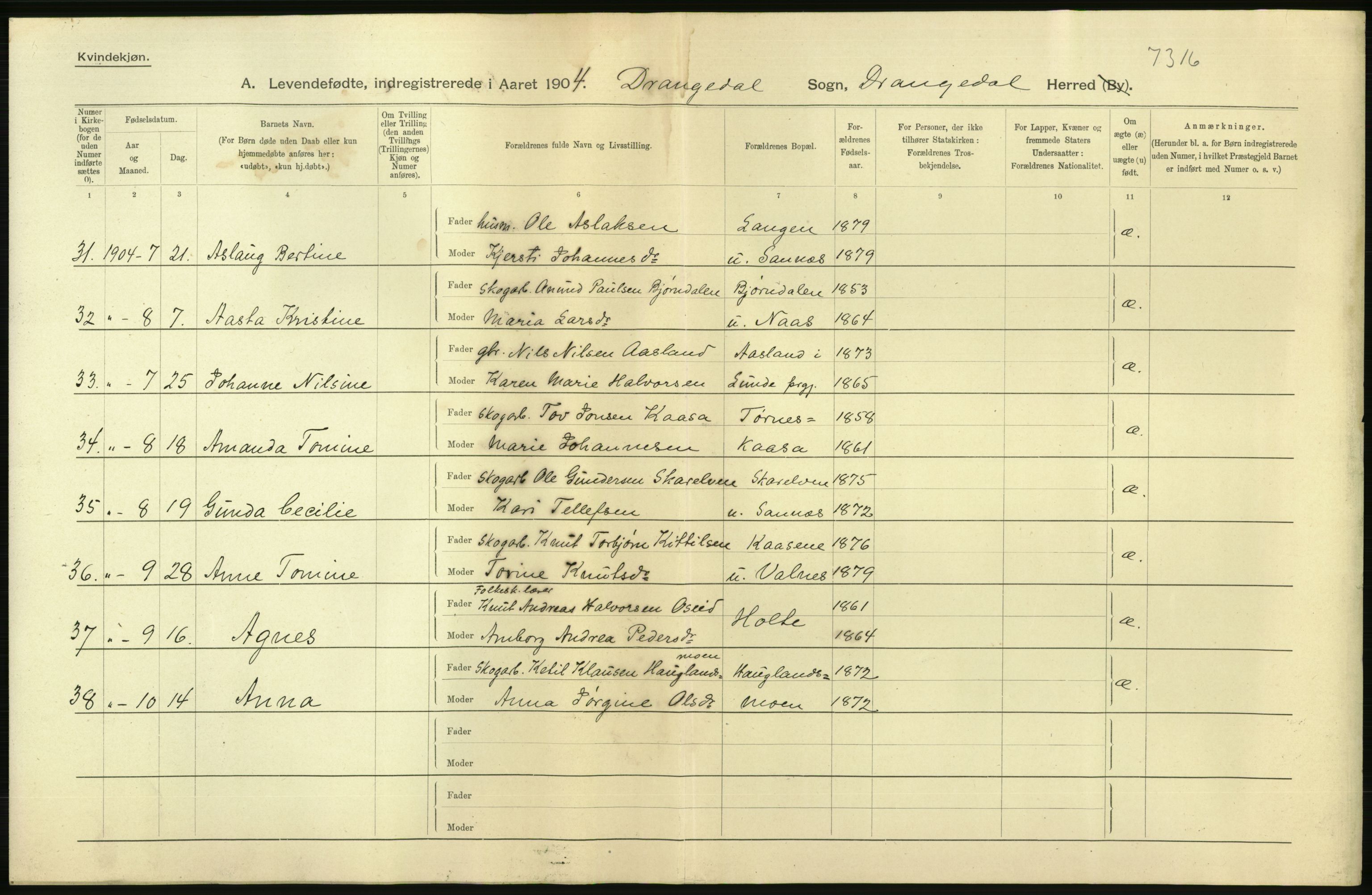 Statistisk sentralbyrå, Sosiodemografiske emner, Befolkning, AV/RA-S-2228/D/Df/Dfa/Dfab/L0009: Bratsberg amt: Fødte, gifte, døde, 1904, p. 8