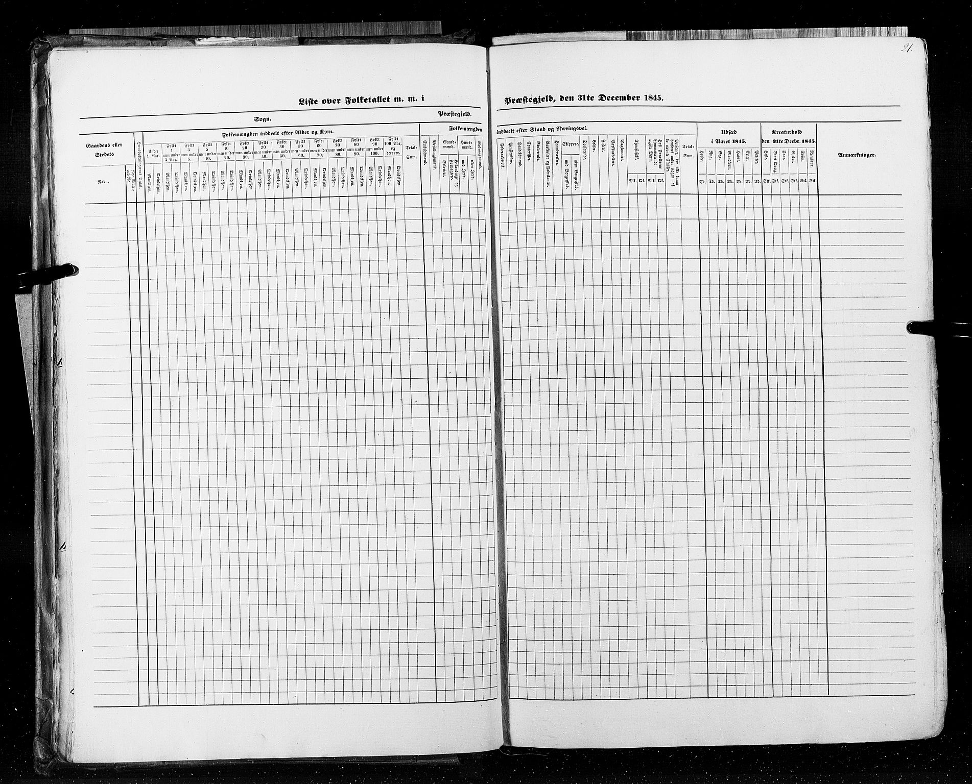 RA, Census 1845, vol. 5: Bratsberg amt og Nedenes og Råbyggelaget amt, 1845, p. 21