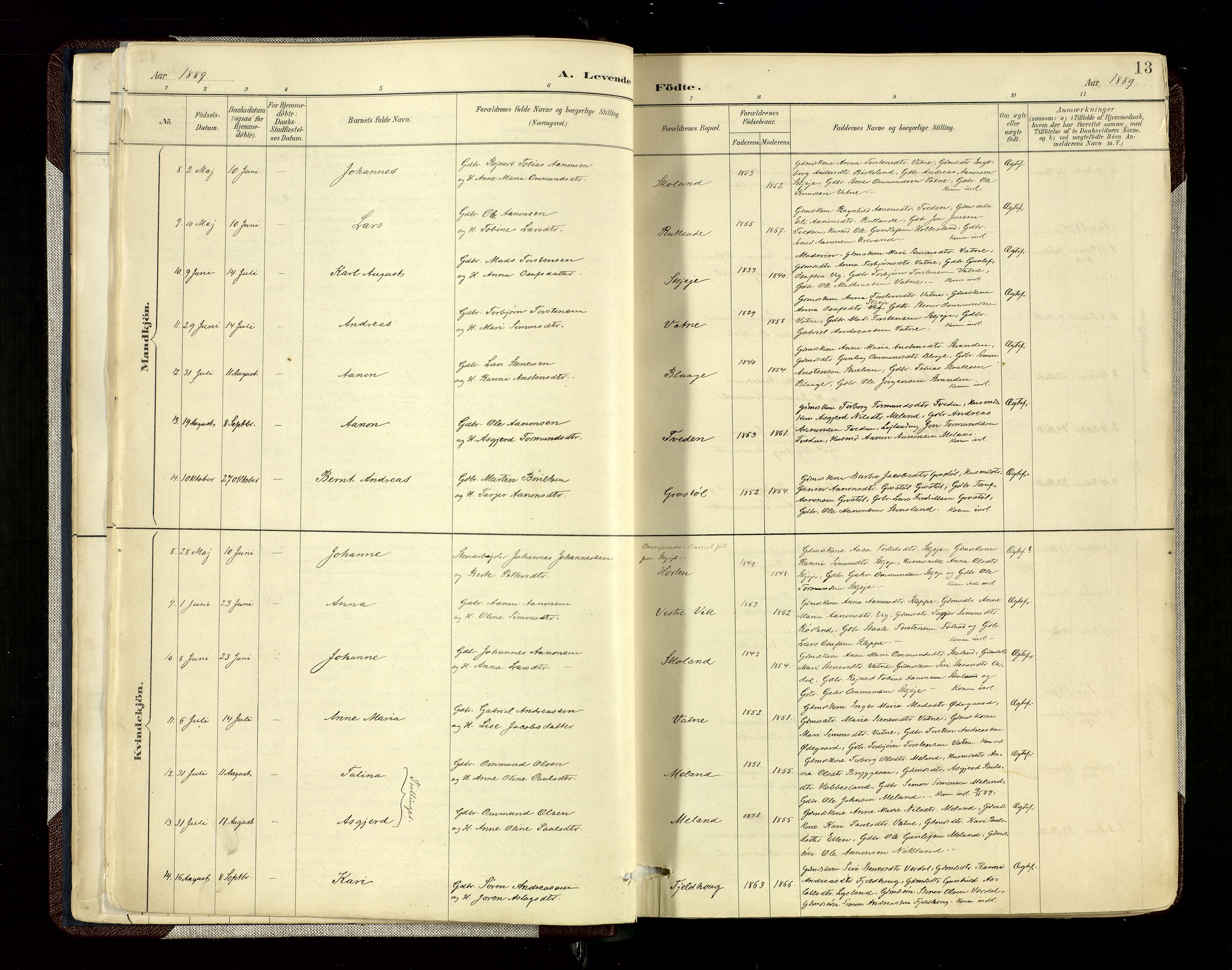 Hægebostad sokneprestkontor, AV/SAK-1111-0024/F/Fa/Fab/L0004: Parish register (official) no. A 4, 1887-1929, p. 13