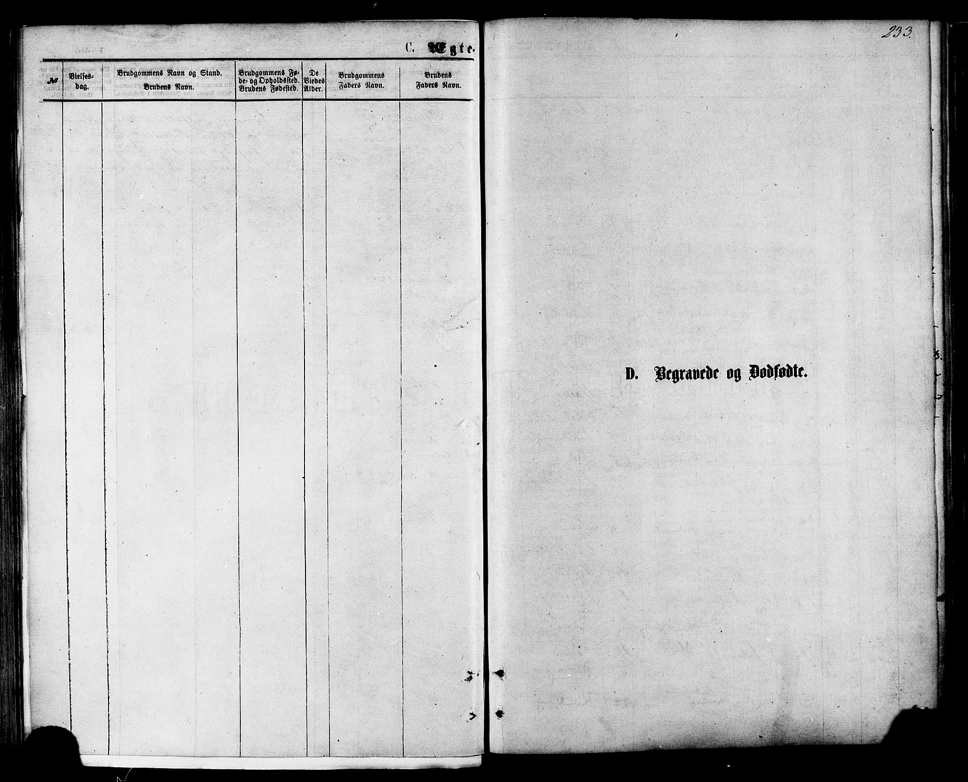 Ministerialprotokoller, klokkerbøker og fødselsregistre - Nordland, AV/SAT-A-1459/801/L0009: Parish register (official) no. 801A09, 1876-1883, p. 233