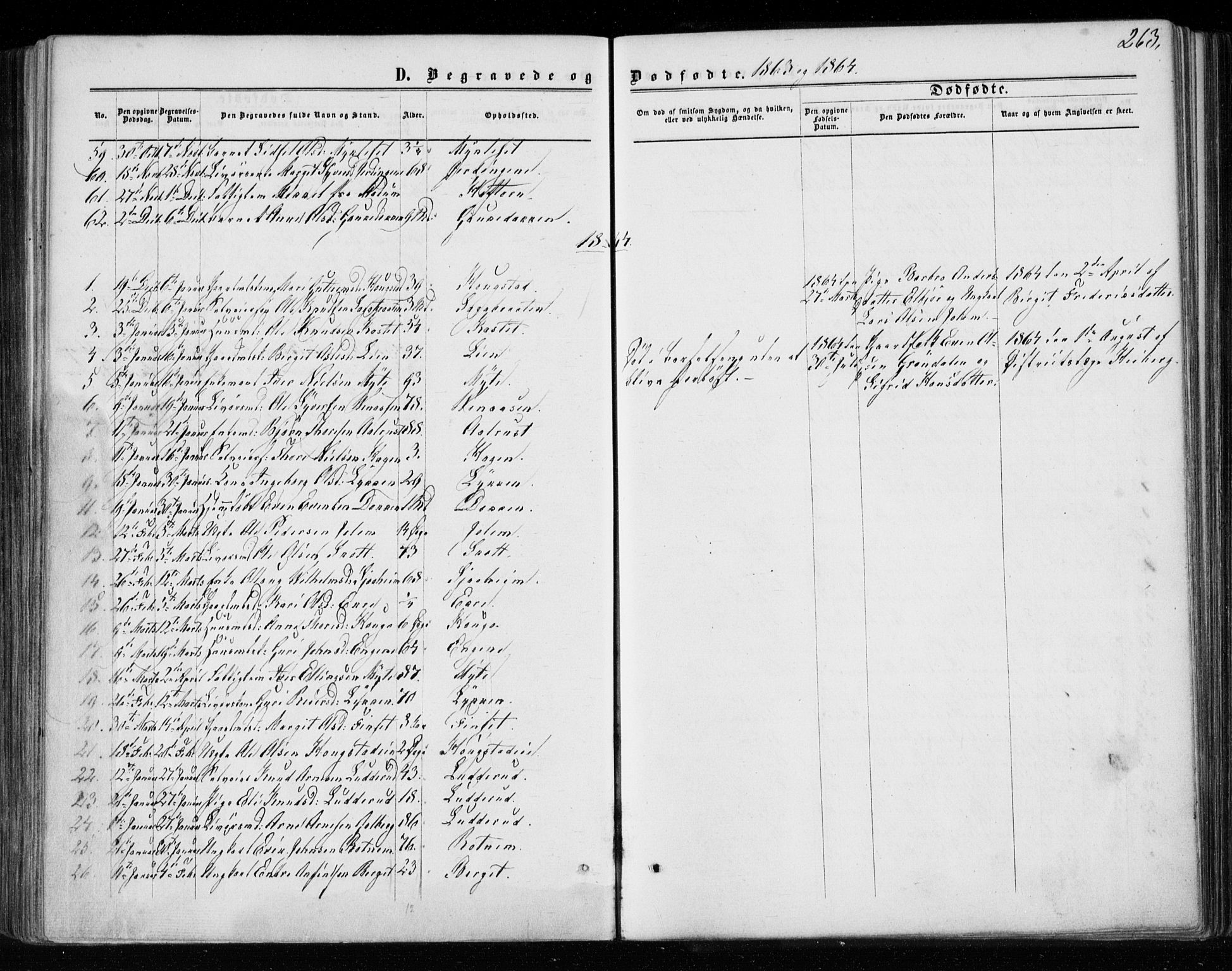 Gol kirkebøker, AV/SAKO-A-226/F/Fa/L0003: Parish register (official) no. I 3, 1863-1875, p. 263