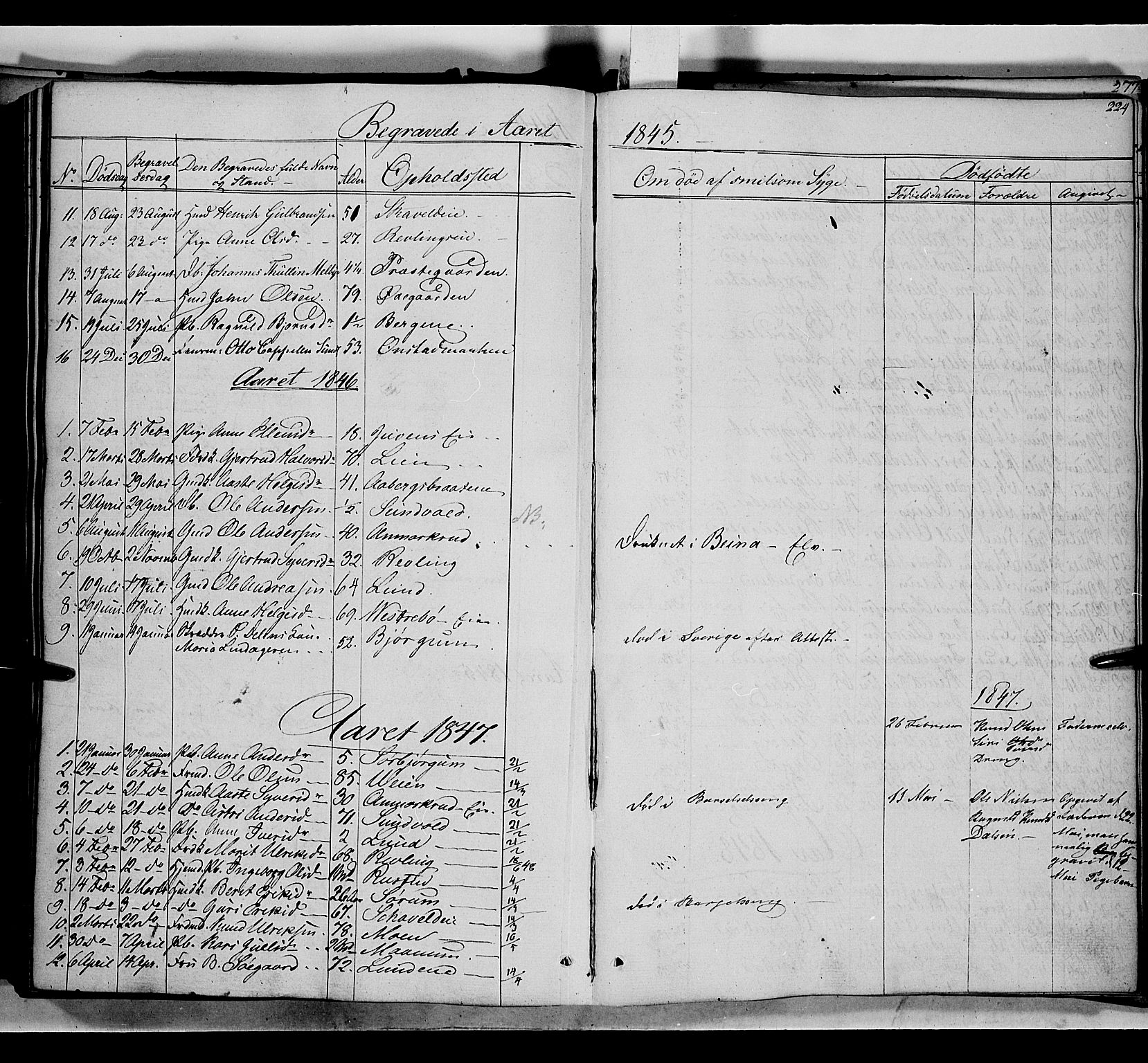 Nord-Aurdal prestekontor, SAH/PREST-132/H/Ha/Haa/L0004: Parish register (official) no. 4, 1842-1863, p. 224