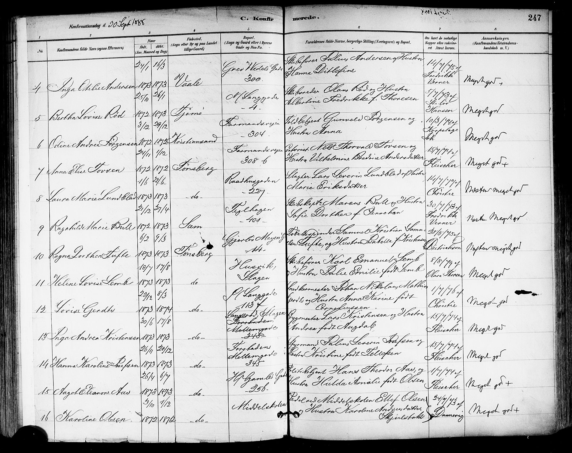 Tønsberg kirkebøker, AV/SAKO-A-330/F/Fa/L0011: Parish register (official) no. I 11, 1881-1890, p. 247