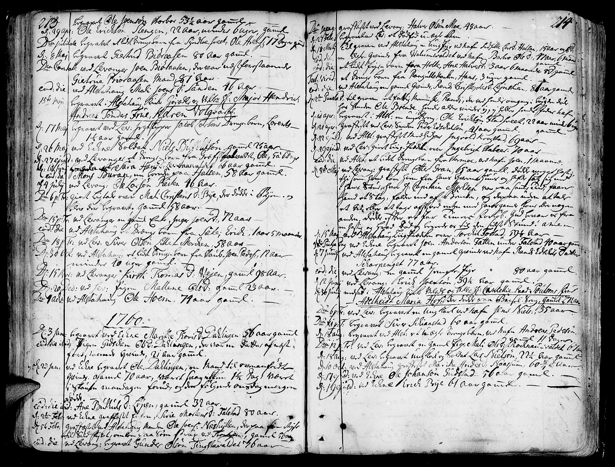 Ministerialprotokoller, klokkerbøker og fødselsregistre - Nord-Trøndelag, SAT/A-1458/717/L0141: Parish register (official) no. 717A01, 1747-1803, p. 213-214