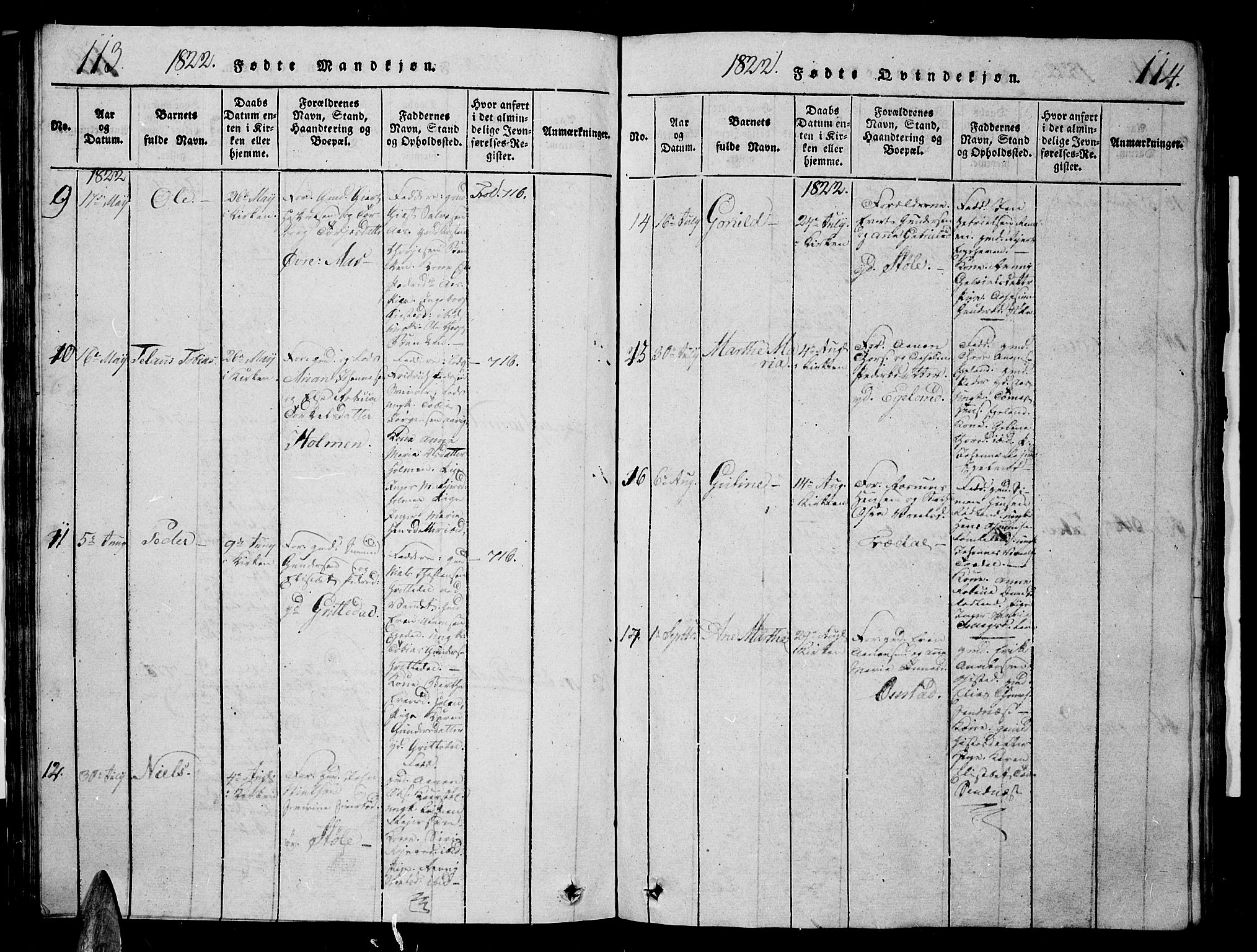 Sør-Audnedal sokneprestkontor, AV/SAK-1111-0039/F/Fb/Fbb/L0001: Parish register (copy) no. B 1, 1815-1827, p. 113-114