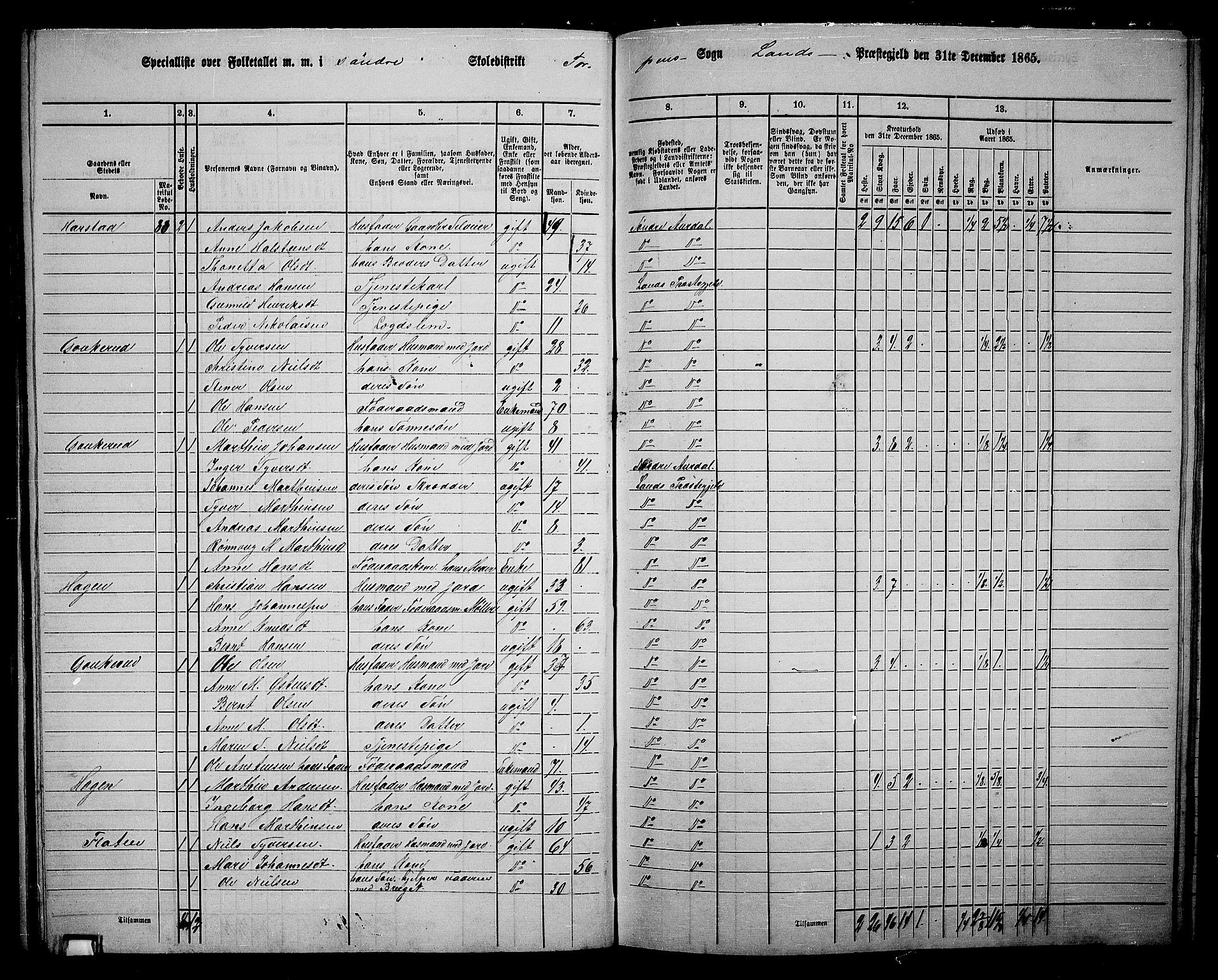 RA, 1865 census for Land, 1865, p. 91