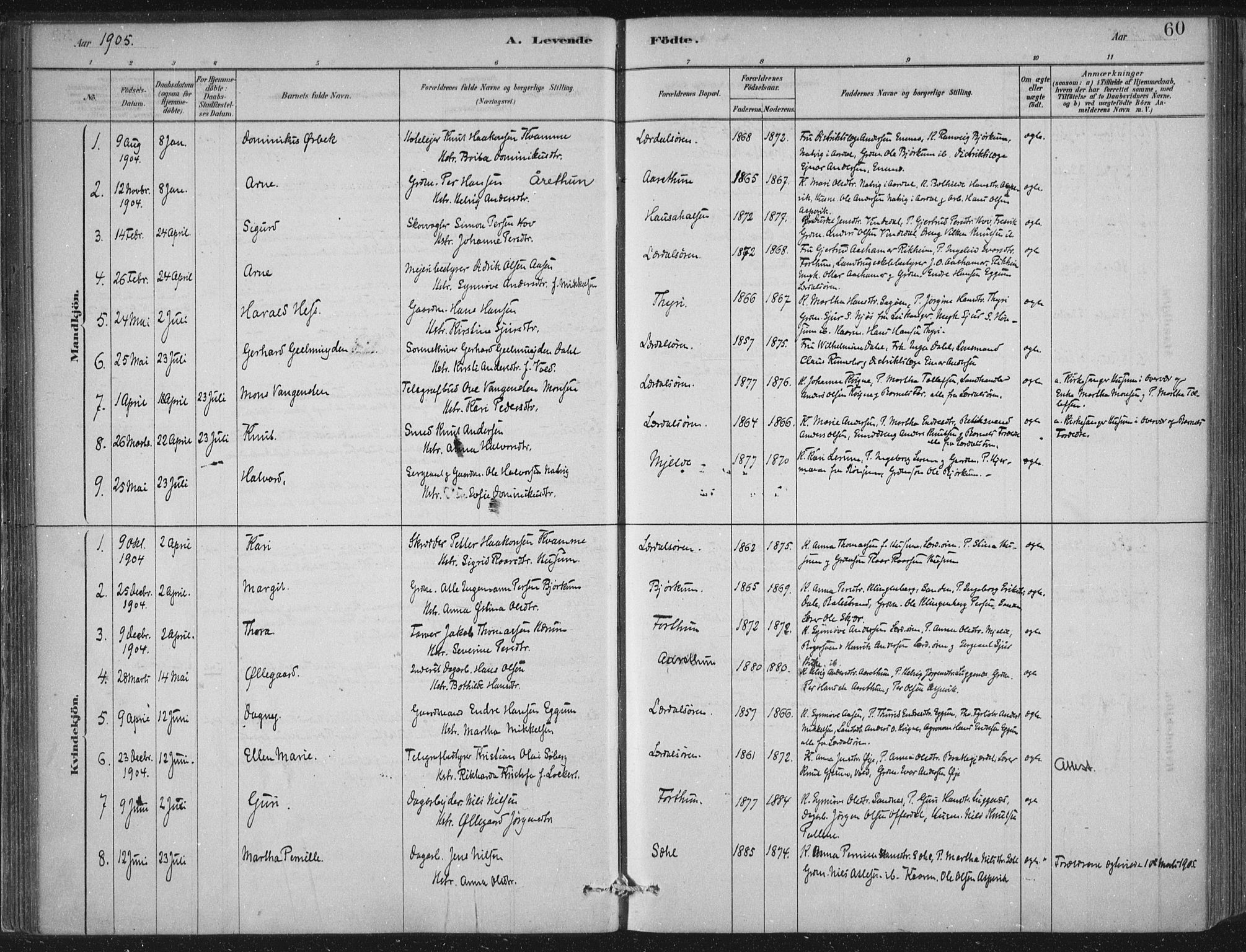 Lærdal sokneprestembete, SAB/A-81201: Parish register (official) no. D  1, 1878-1908, p. 60
