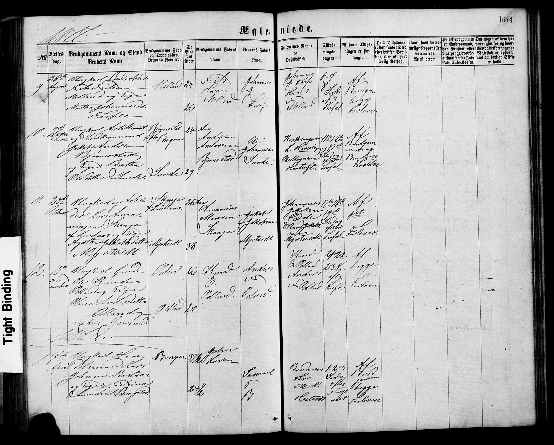 Alversund Sokneprestembete, AV/SAB-A-73901/H/Ha/Hab: Parish register (copy) no. C 2, 1867-1880, p. 164