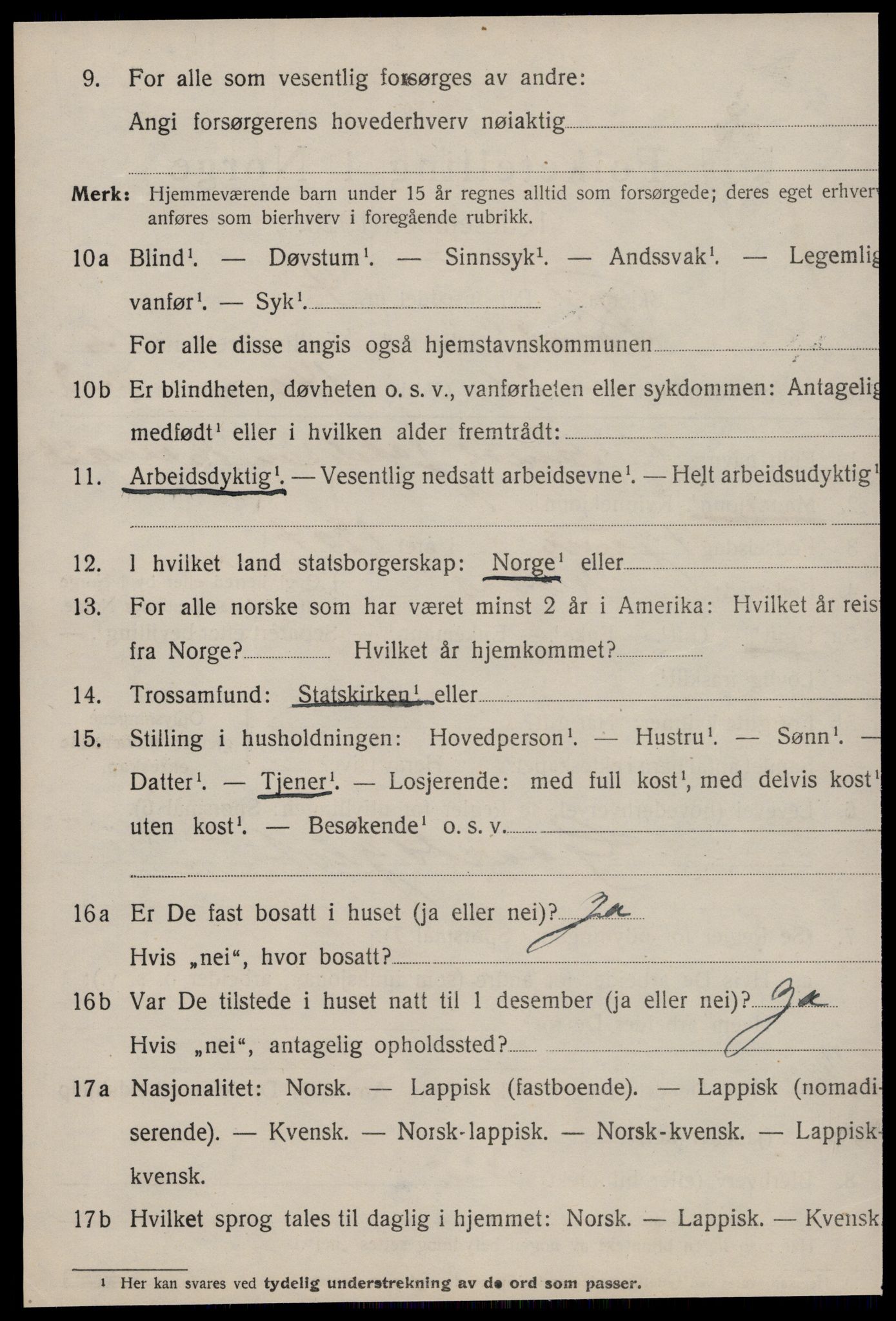 SAT, 1920 census for Røros, 1920, p. 9363