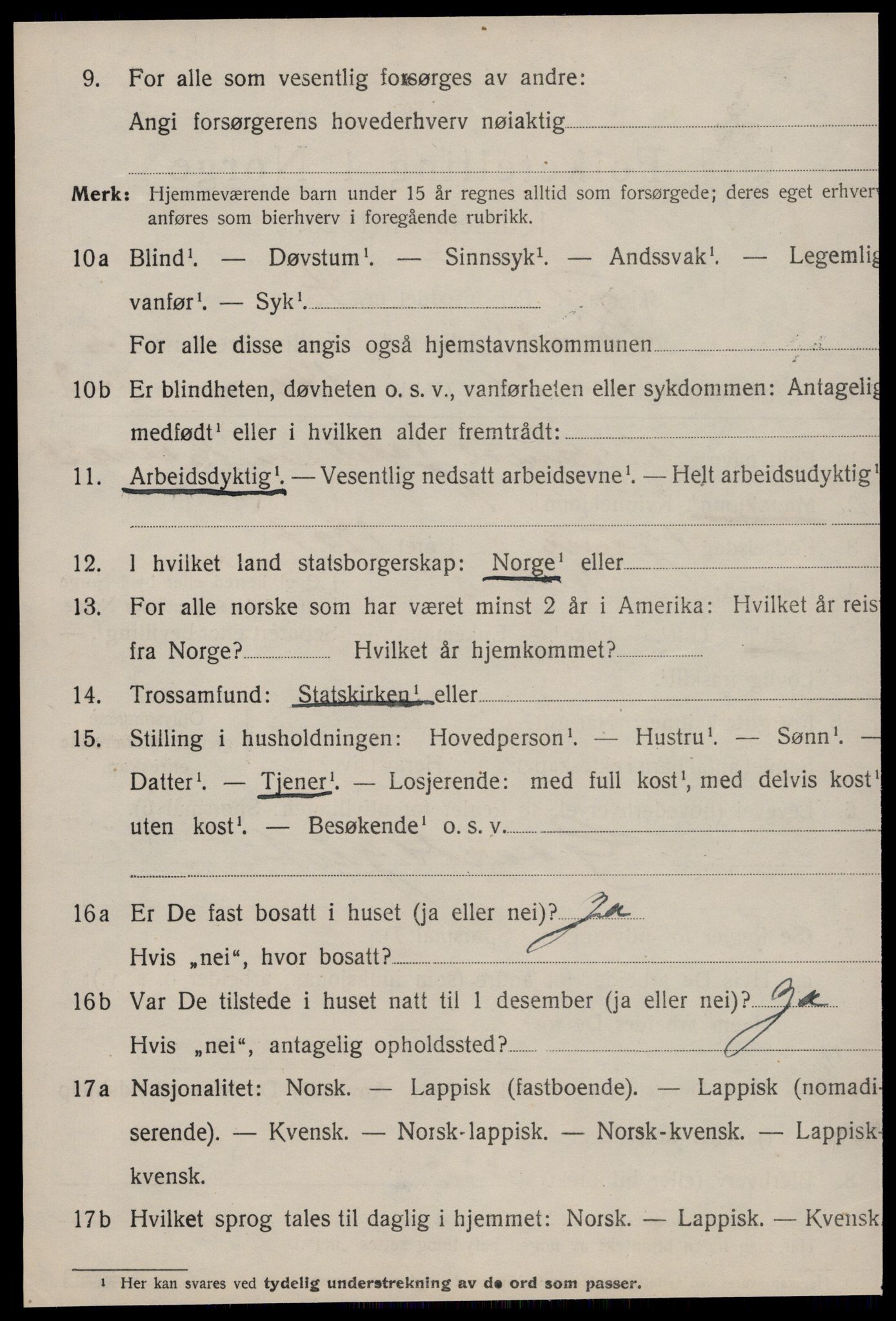 SAT, 1920 census for Røros, 1920, p. 9363