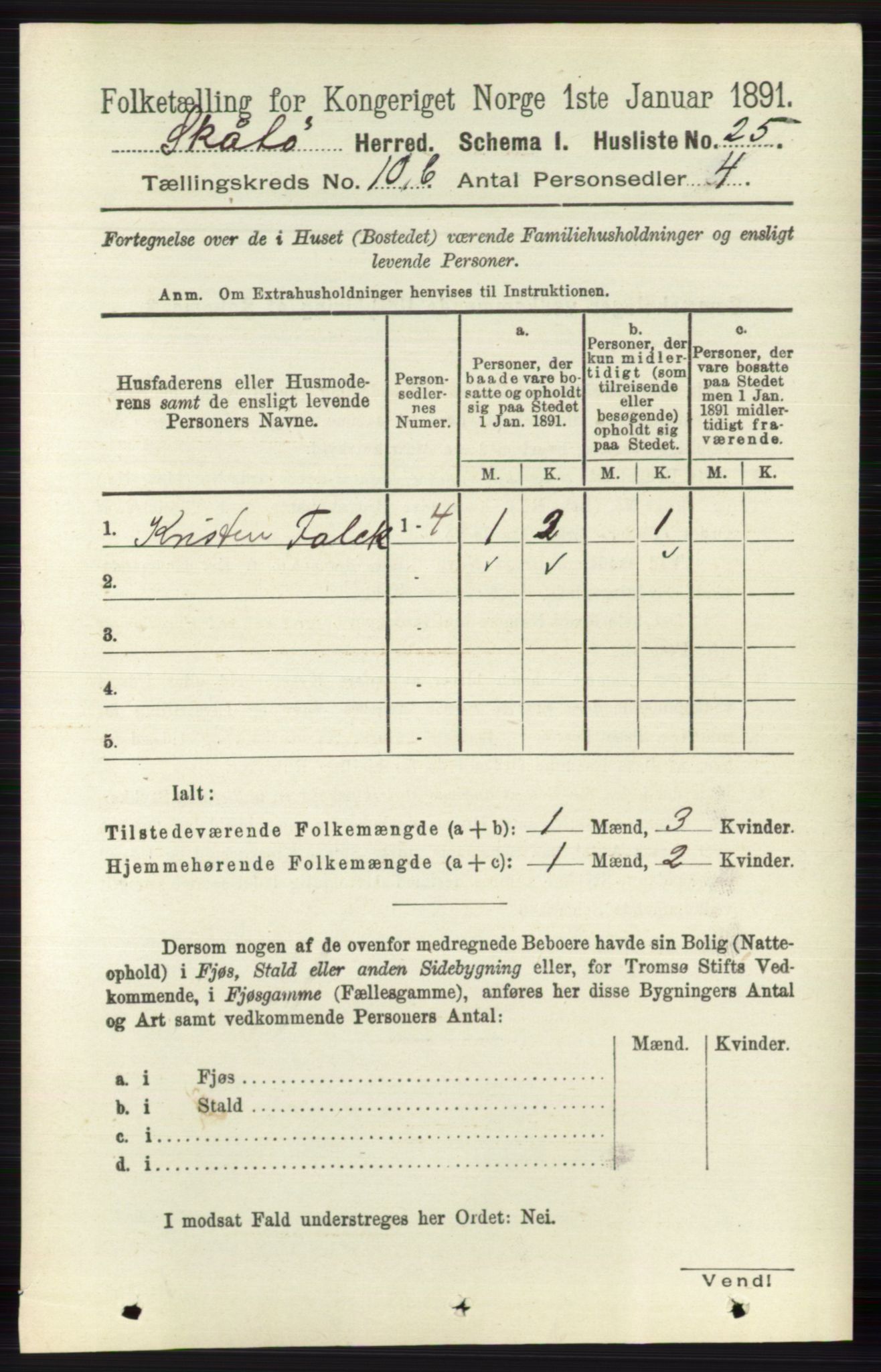 RA, 1891 census for 0815 Skåtøy, 1891, p. 4131