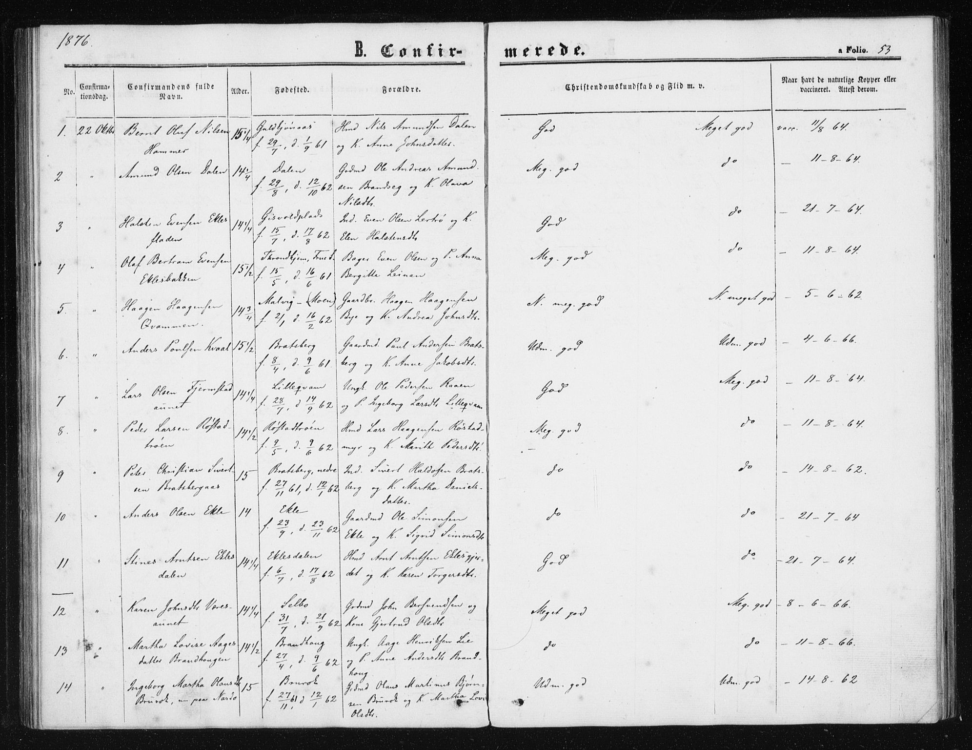 Ministerialprotokoller, klokkerbøker og fødselsregistre - Sør-Trøndelag, SAT/A-1456/608/L0333: Parish register (official) no. 608A02, 1862-1876, p. 53