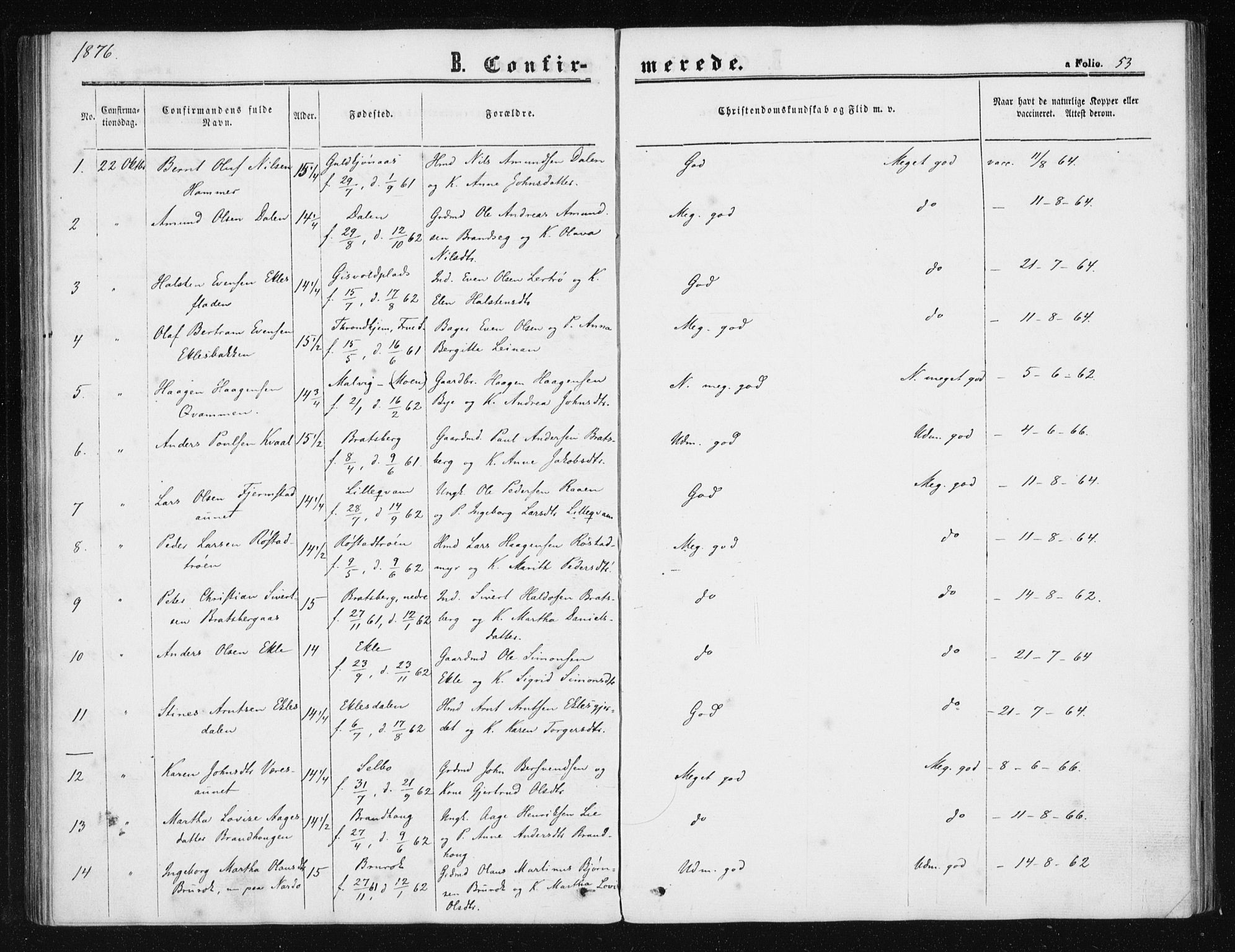 Ministerialprotokoller, klokkerbøker og fødselsregistre - Sør-Trøndelag, AV/SAT-A-1456/608/L0333: Parish register (official) no. 608A02, 1862-1876, p. 53