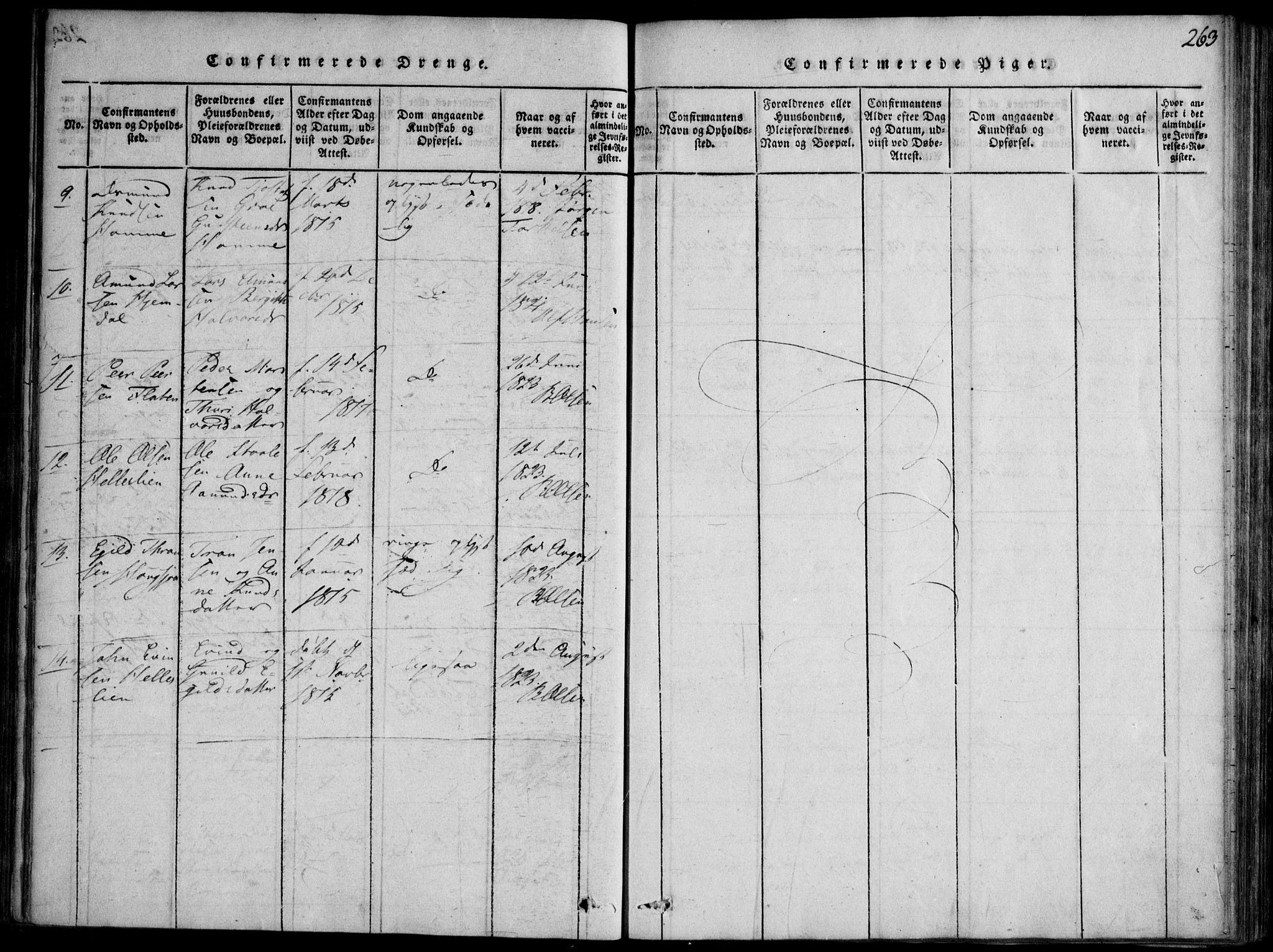 Nissedal kirkebøker, SAKO/A-288/F/Fb/L0001: Parish register (official) no. II 1, 1814-1845, p. 263