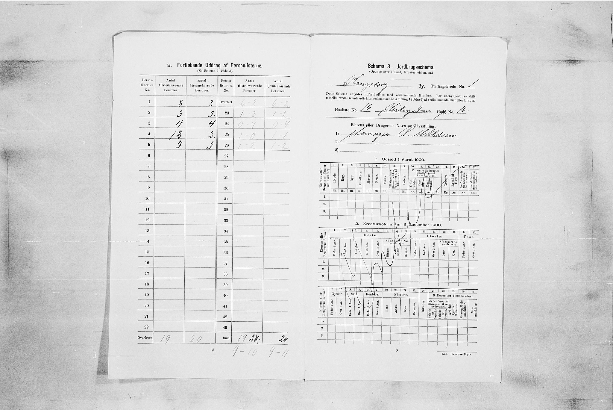 RA, 1900 census for Kongsberg, 1900, p. 99