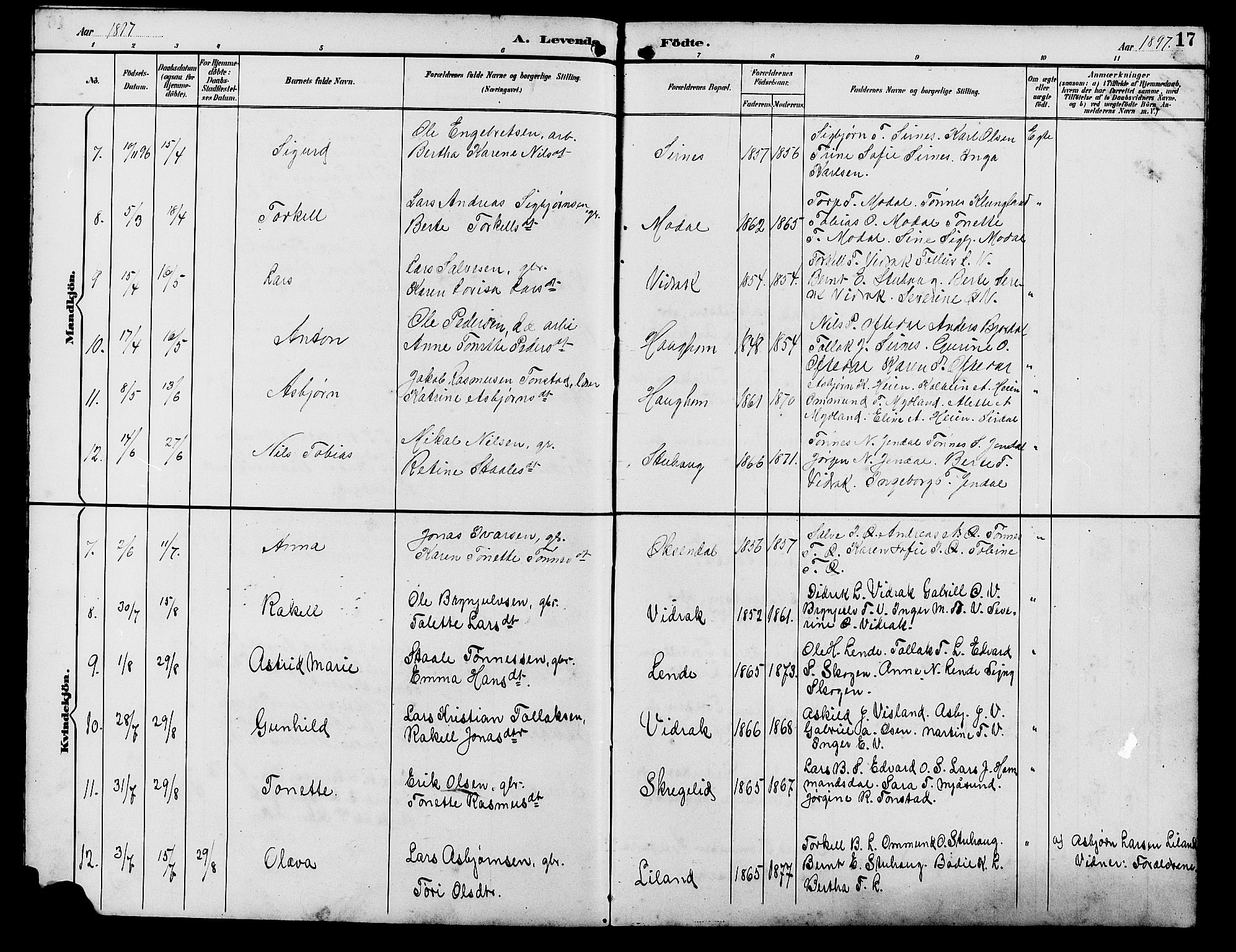 Bakke sokneprestkontor, SAK/1111-0002/F/Fb/Fba/L0003: Parish register (copy) no. B 3, 1894-1910, p. 17