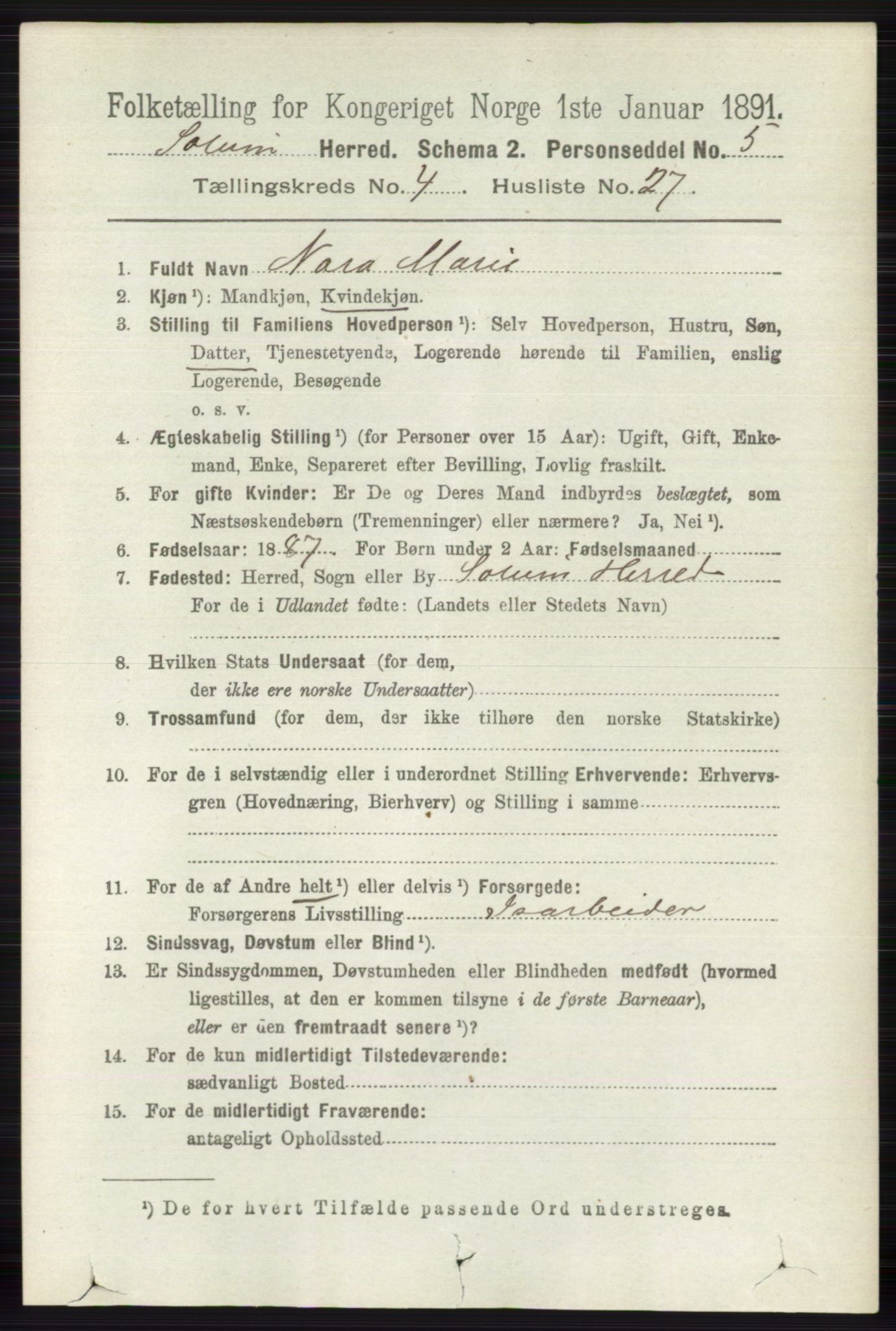 RA, 1891 census for 0818 Solum, 1891, p. 786