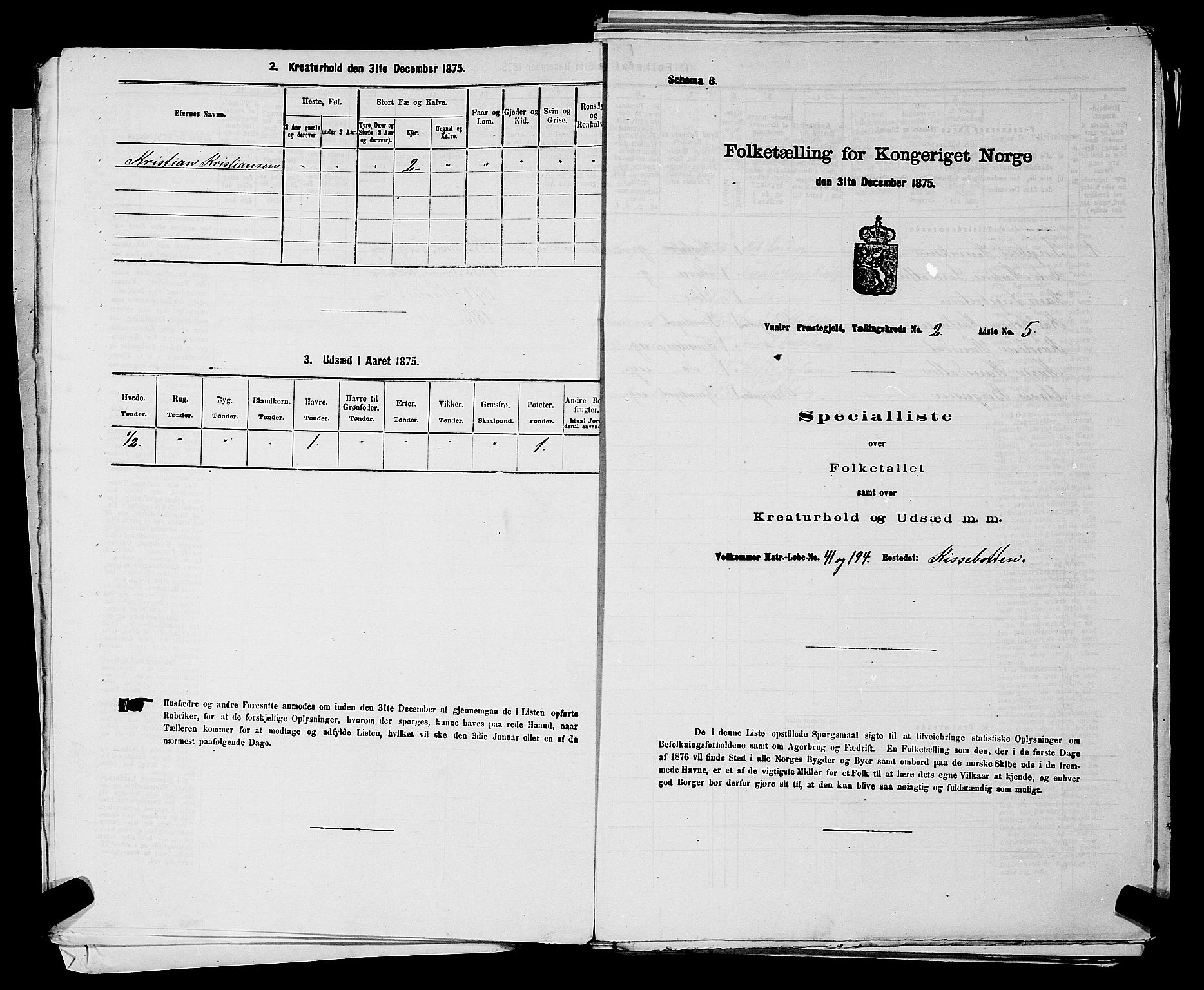 RA, 1875 census for 0137P Våler, 1875, p. 245